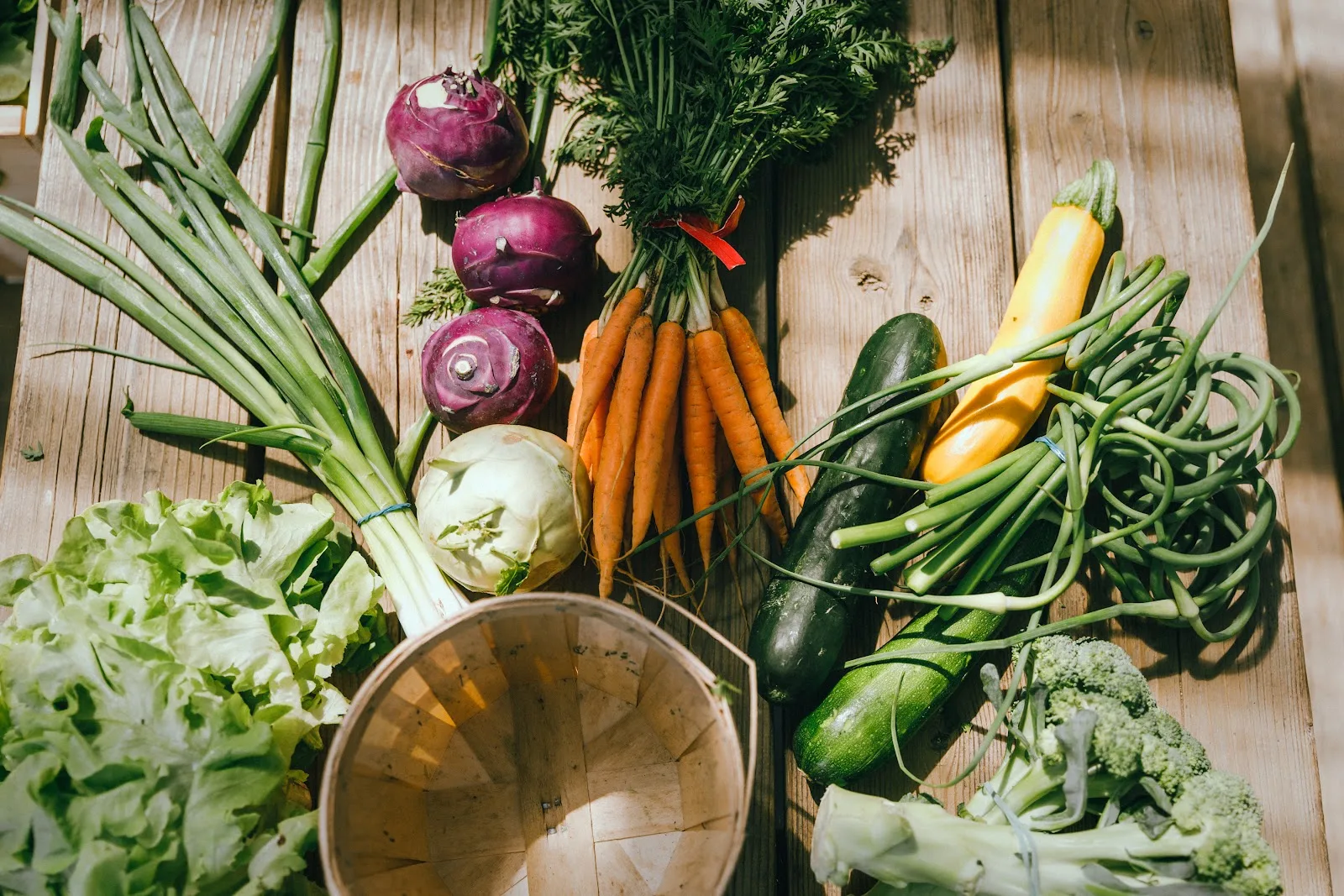 Réseau des fermiers·ères de famille / Family farmers Network