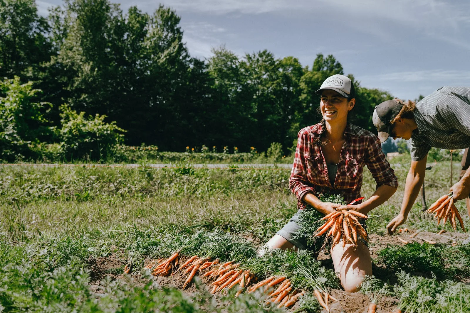 Réseau des fermiers·ères de famille / Family farmers Network
