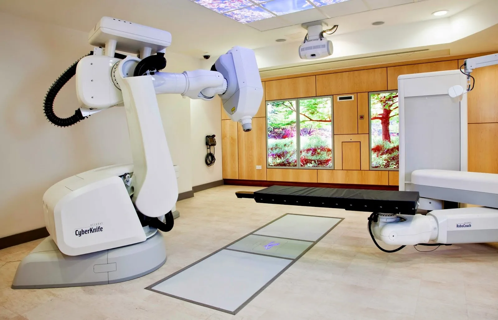 The London Clinic