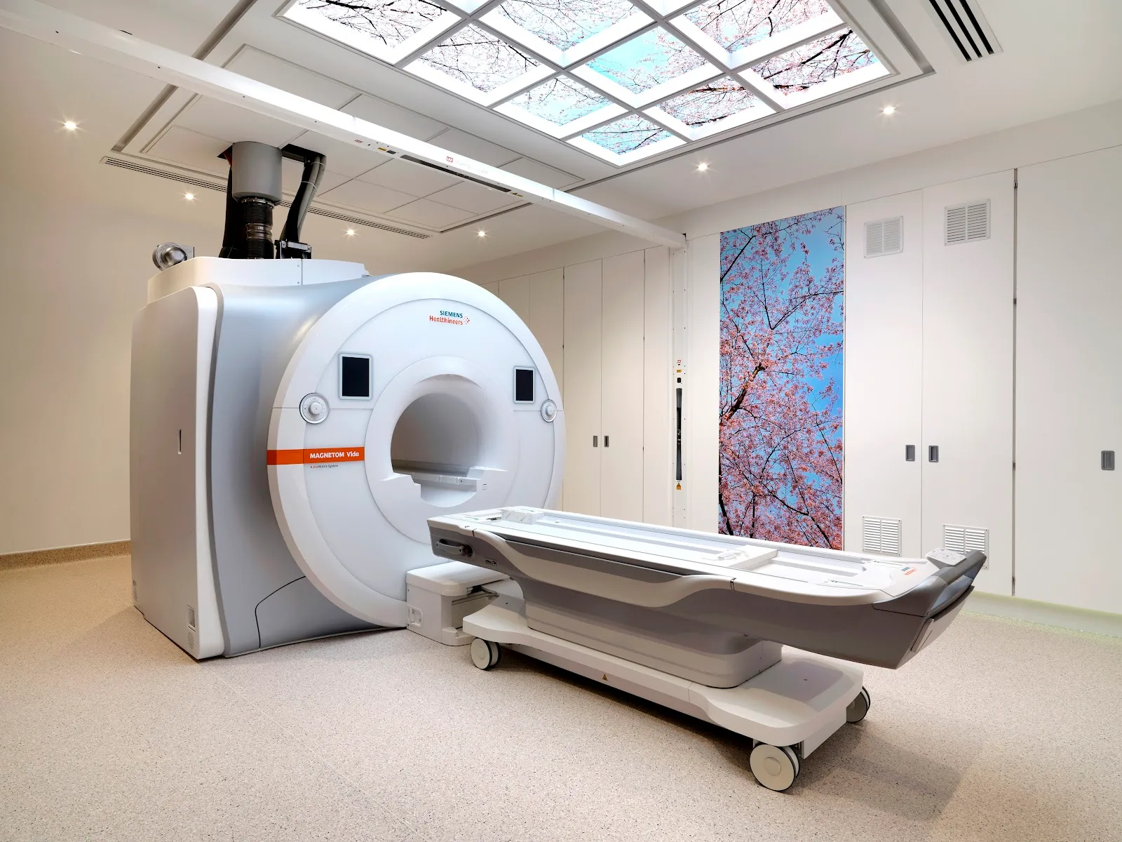 The London Clinic