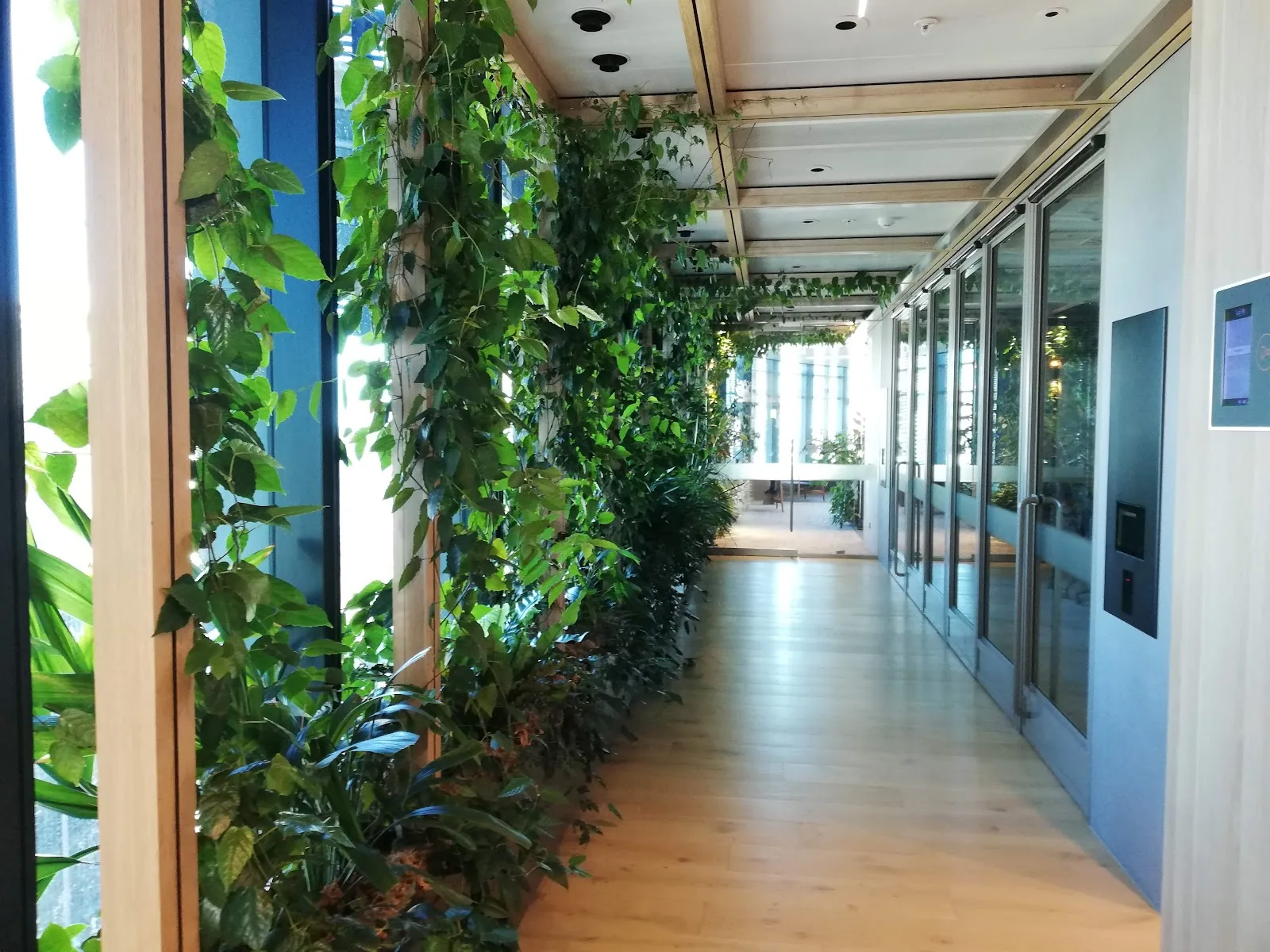 Green Building Council of Australia
