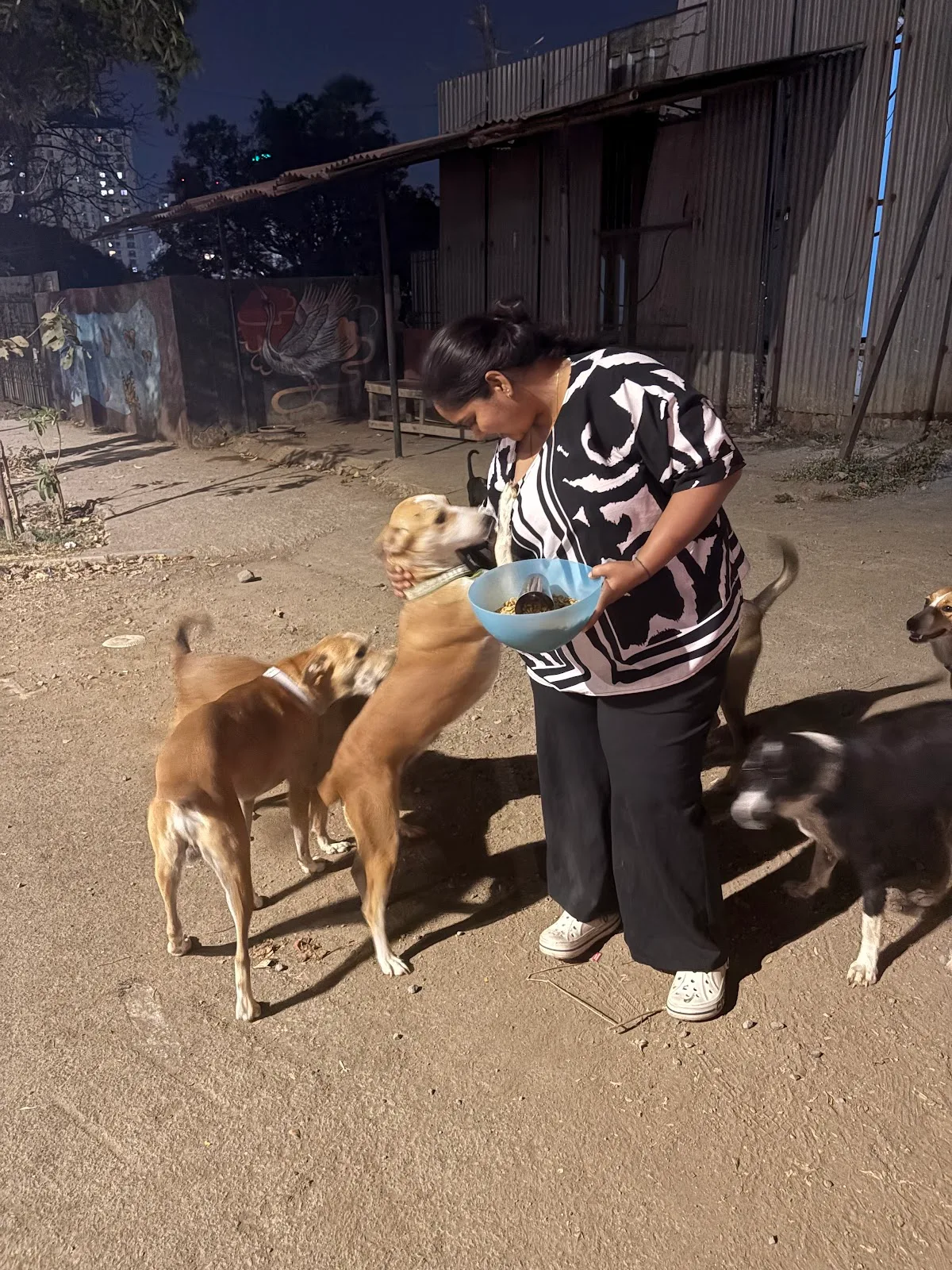 A Life For Animals