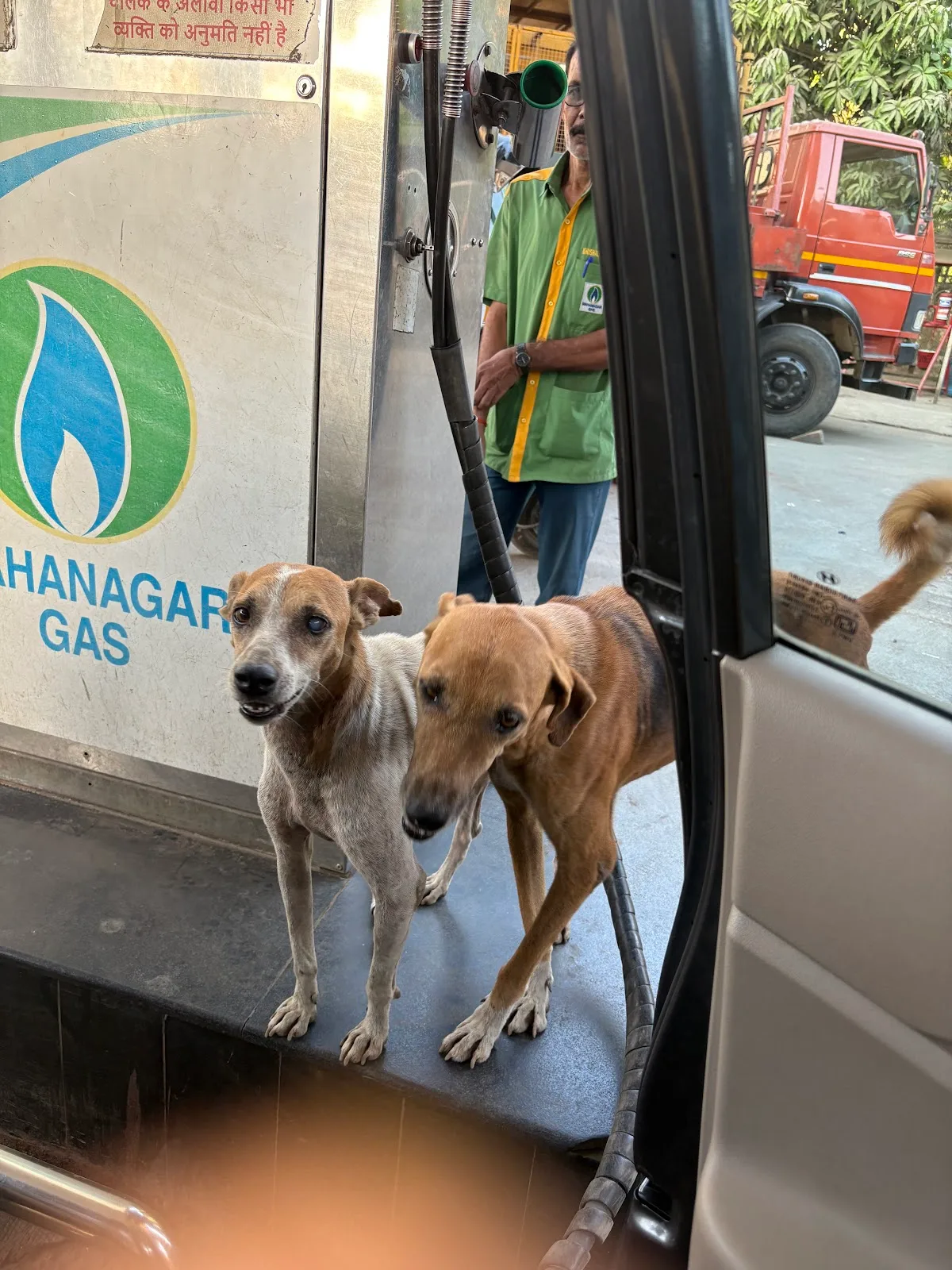 A Life For Animals