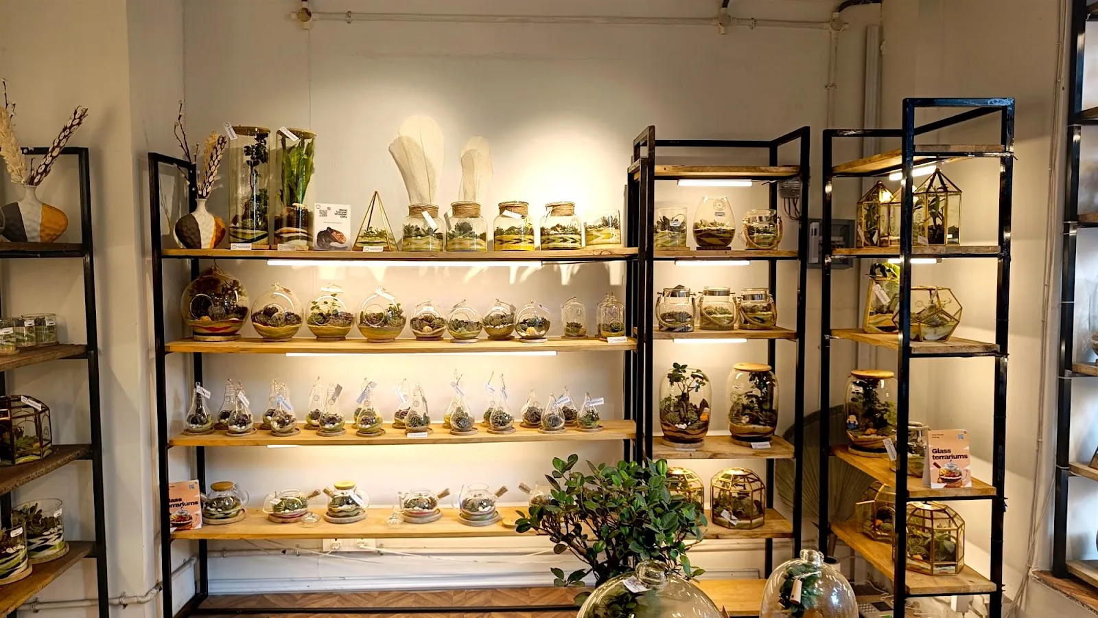 Wild Roots Gifting Connaught Place Delhi