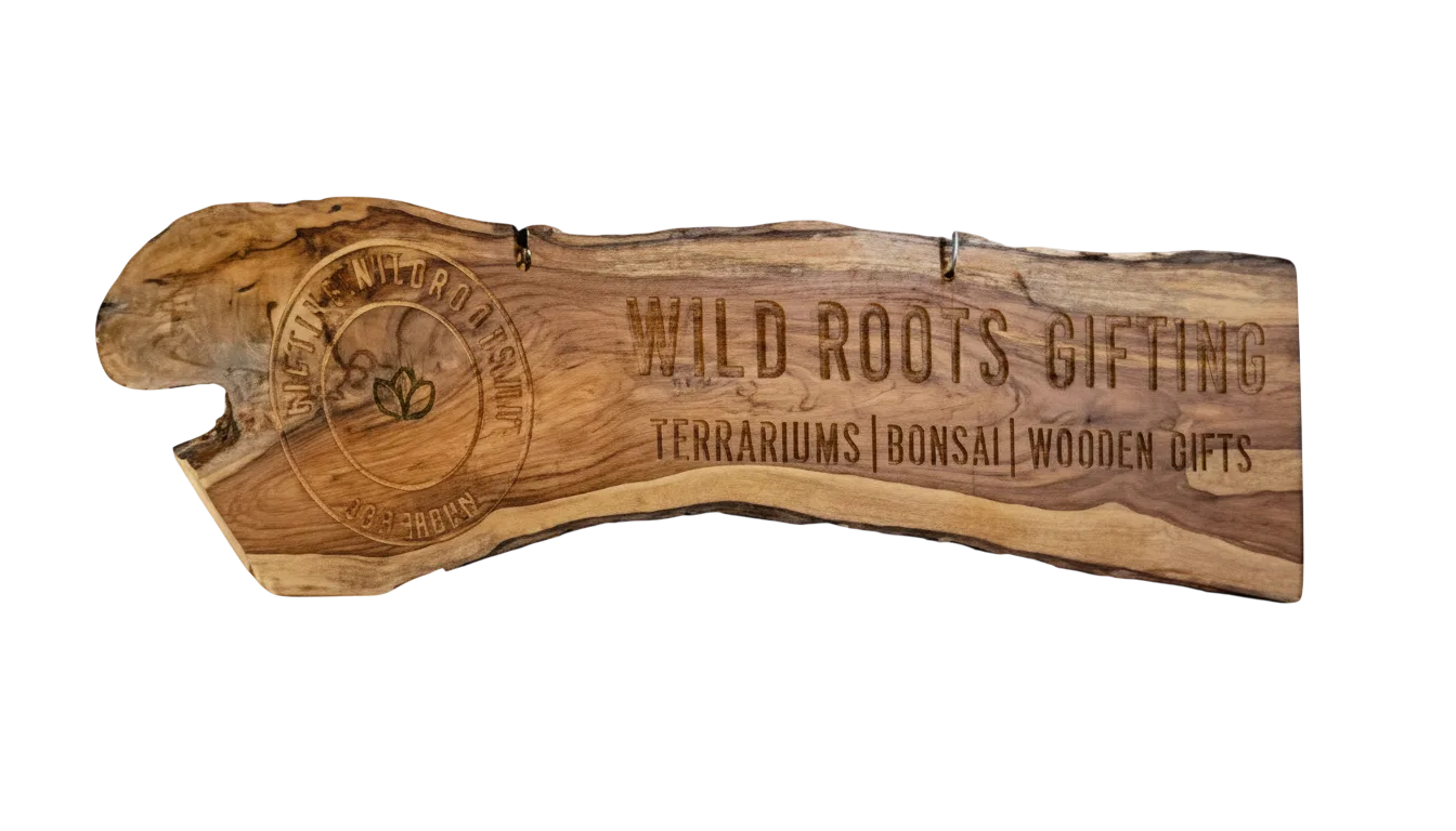 Wild Roots Gifting Connaught Place Delhi