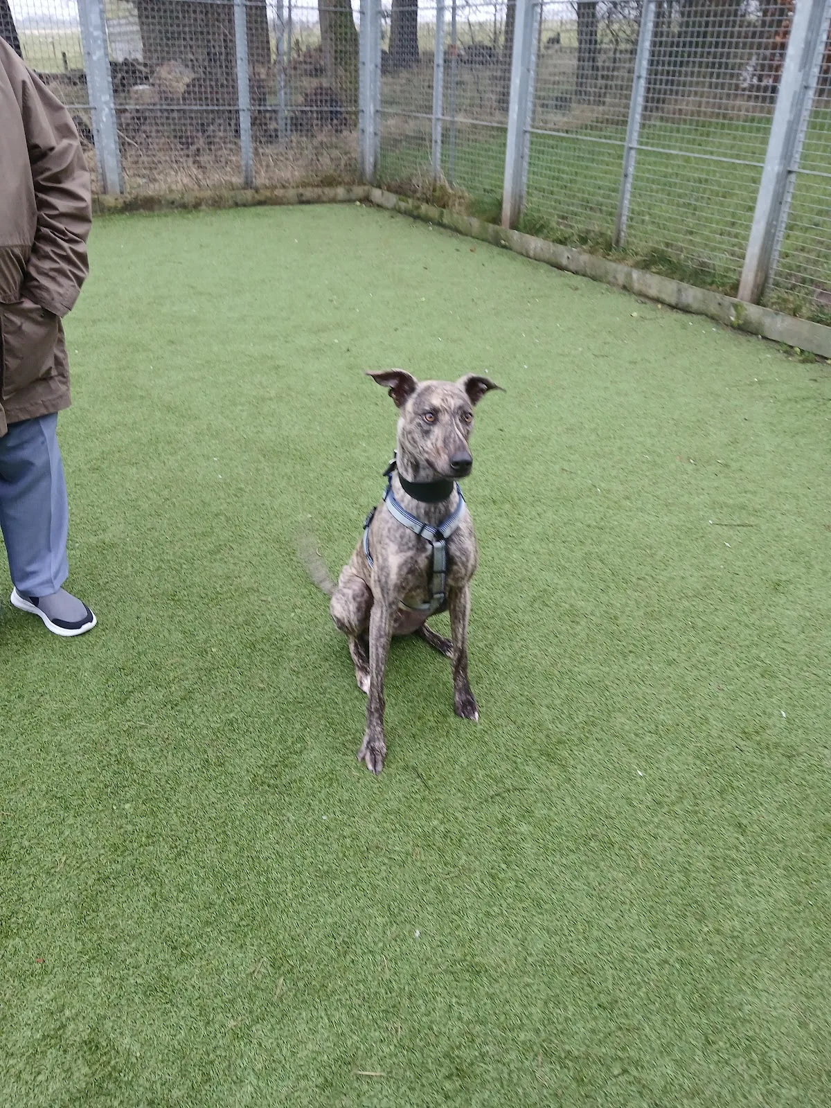 Scottish SPCA