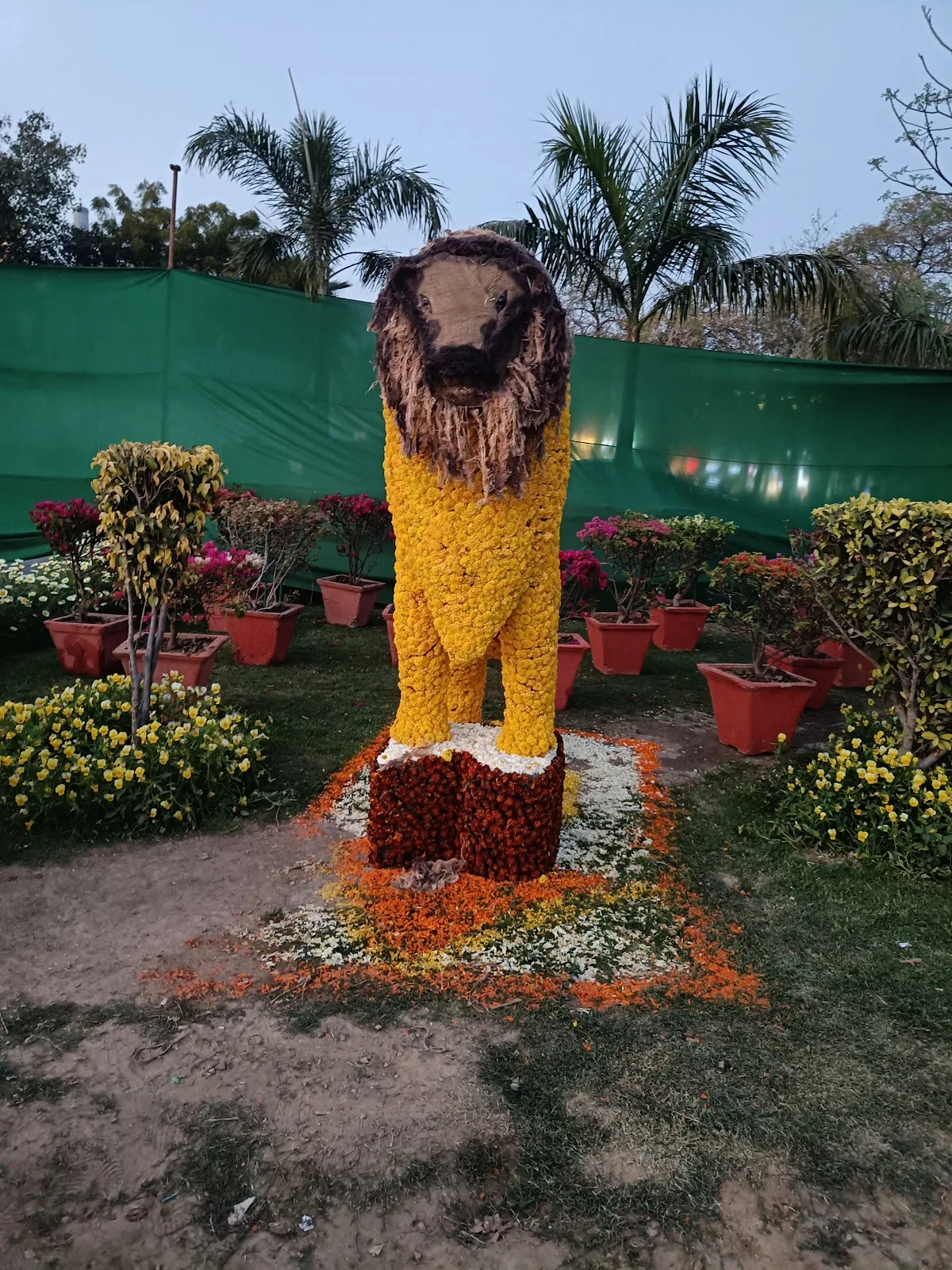 NDMC
