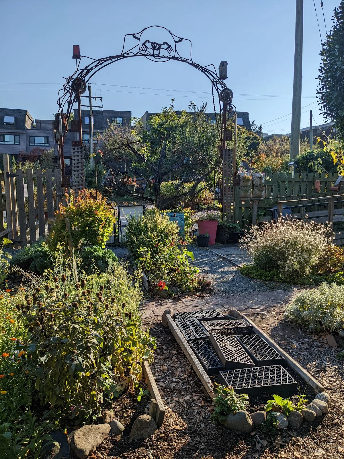 City Farmer