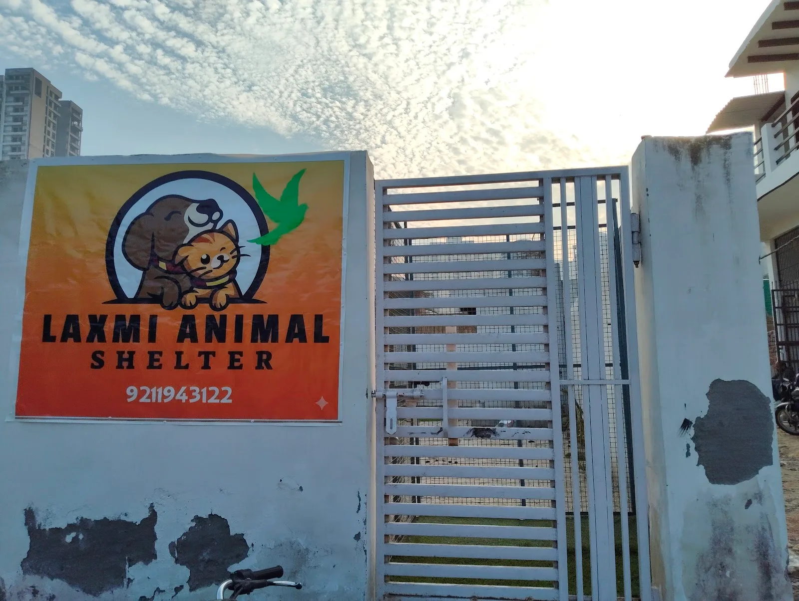 Laxmi Animal shelter