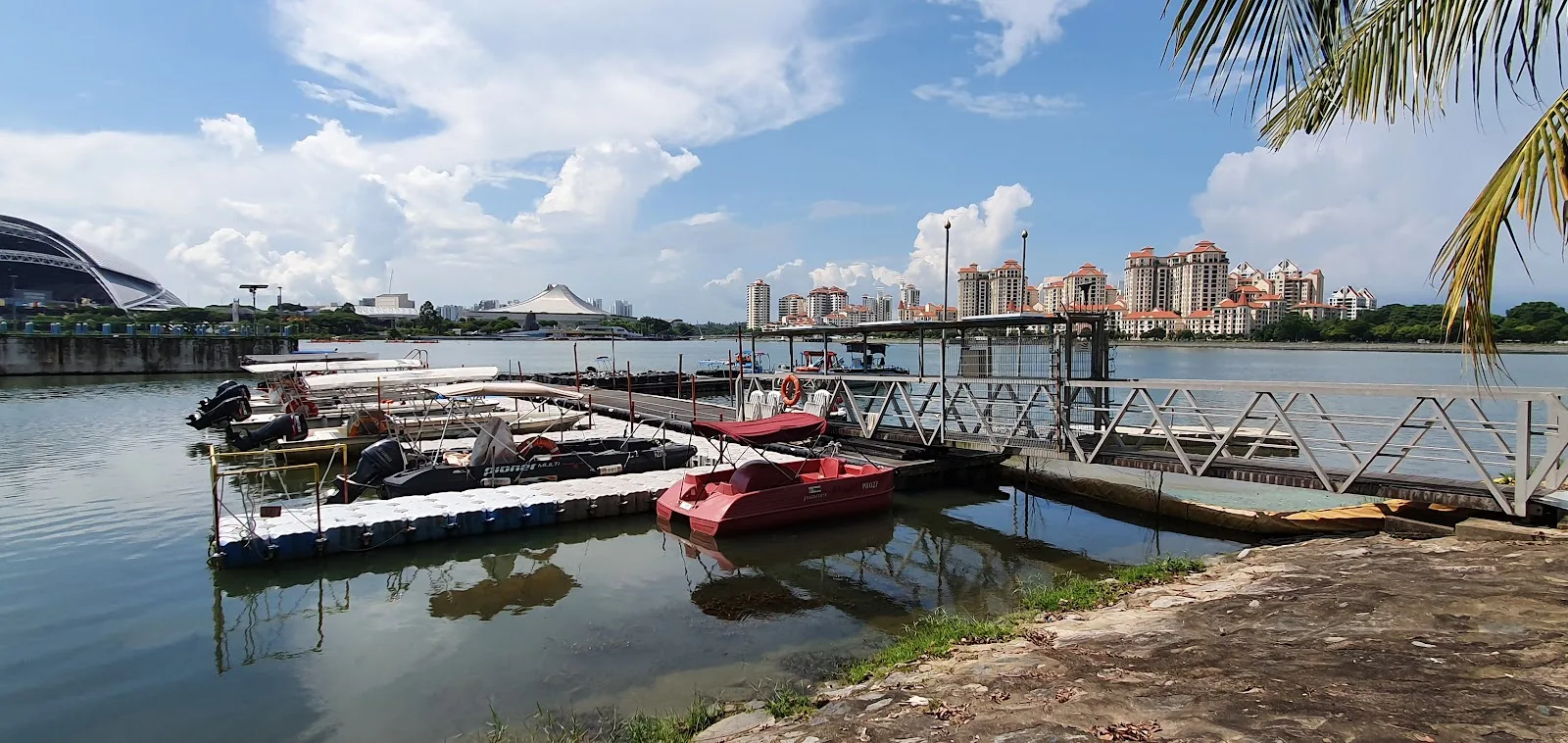 Waterways Watch Society