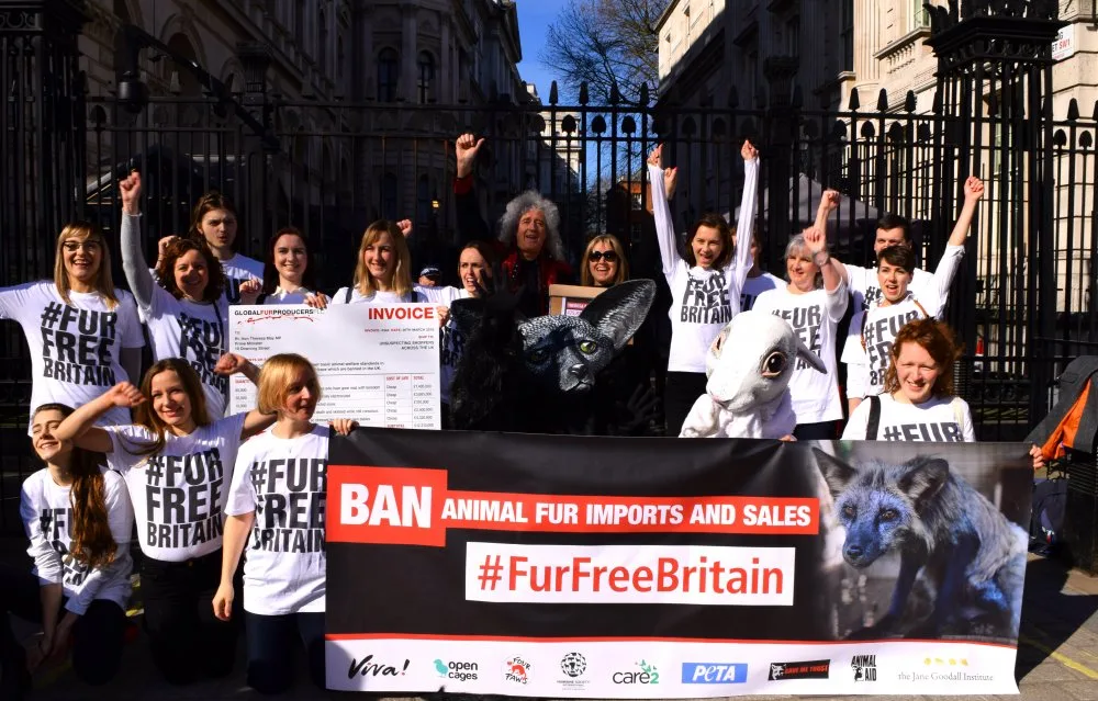 FOUR PAWS UK