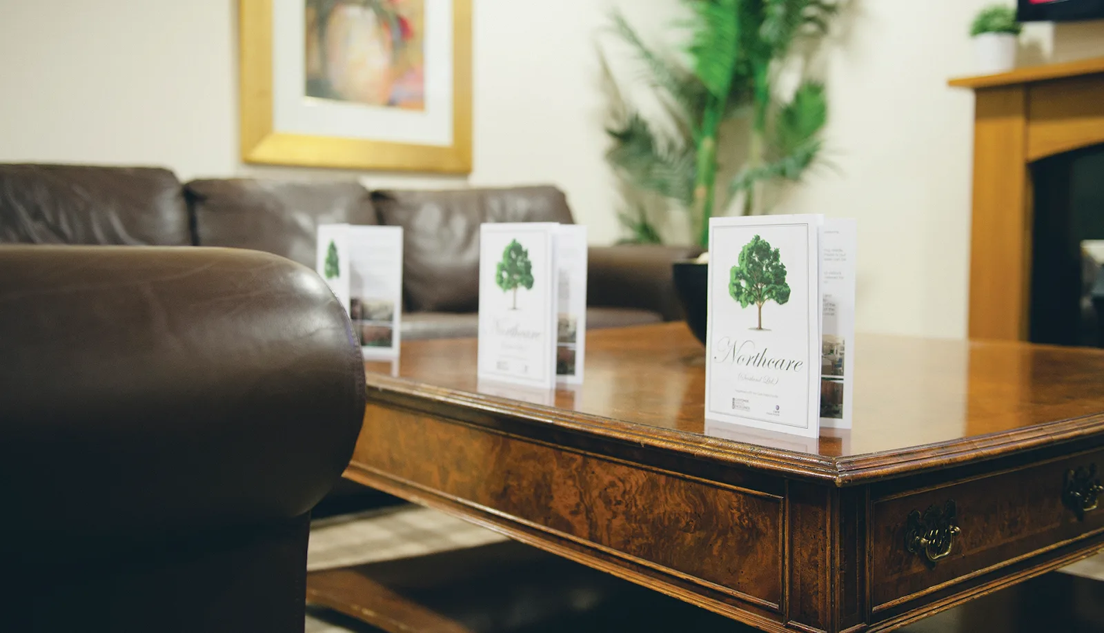 3 Bridges Care Home