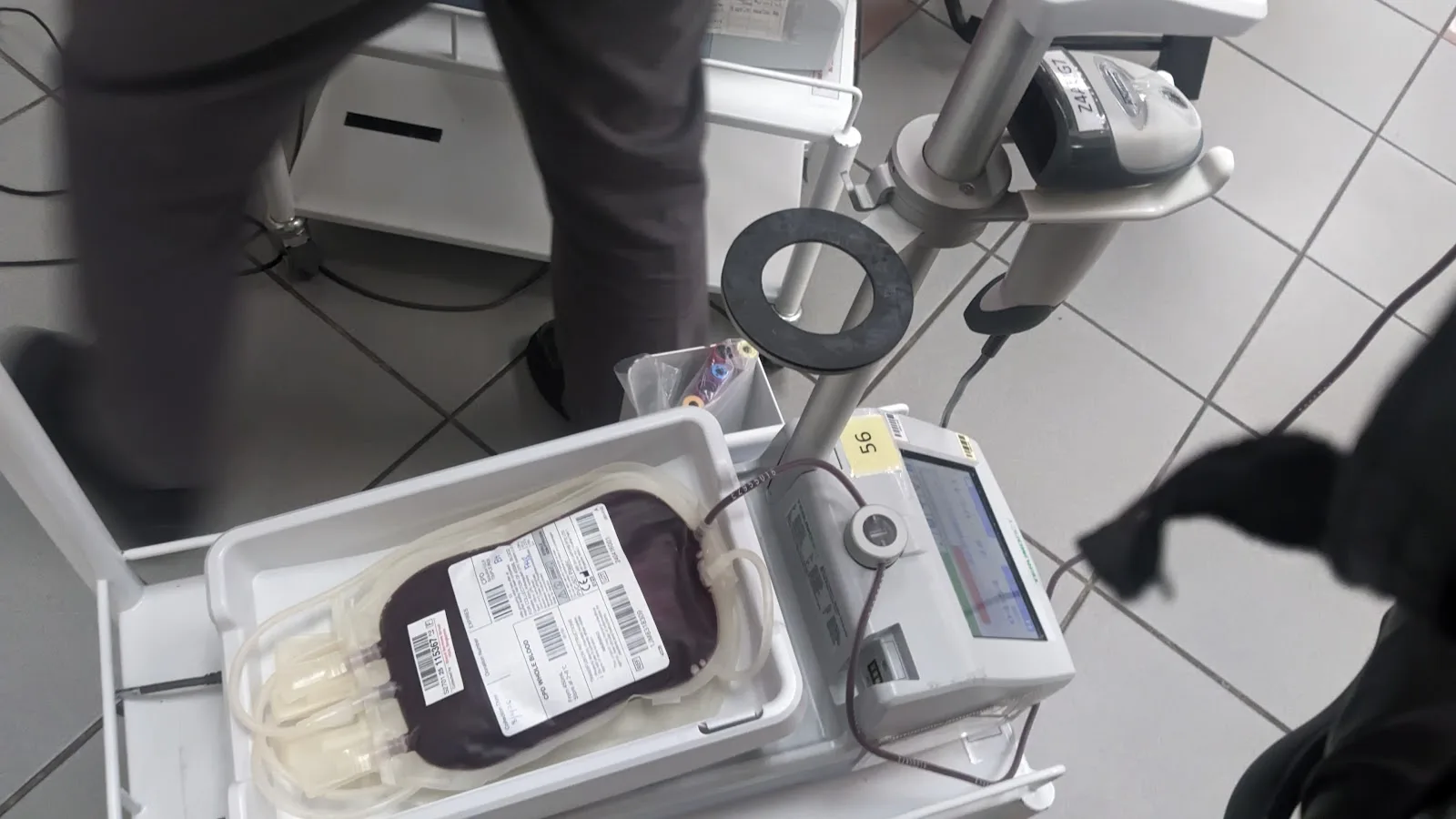 Singapore Blood Transfusion Service