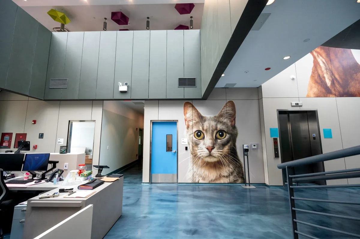 Animal Care Centers of NYC - Queens