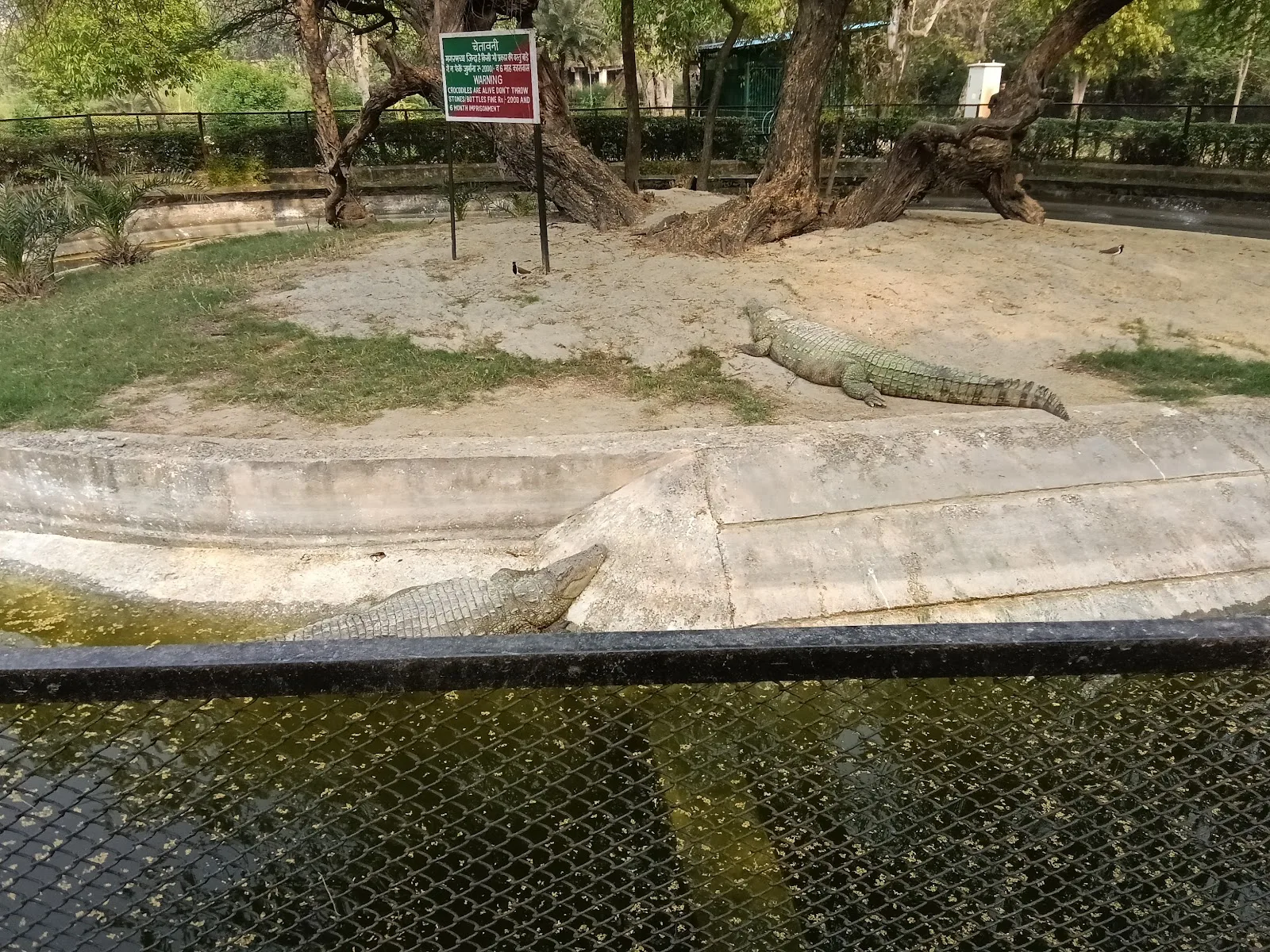 Chidiyaghar Delhi