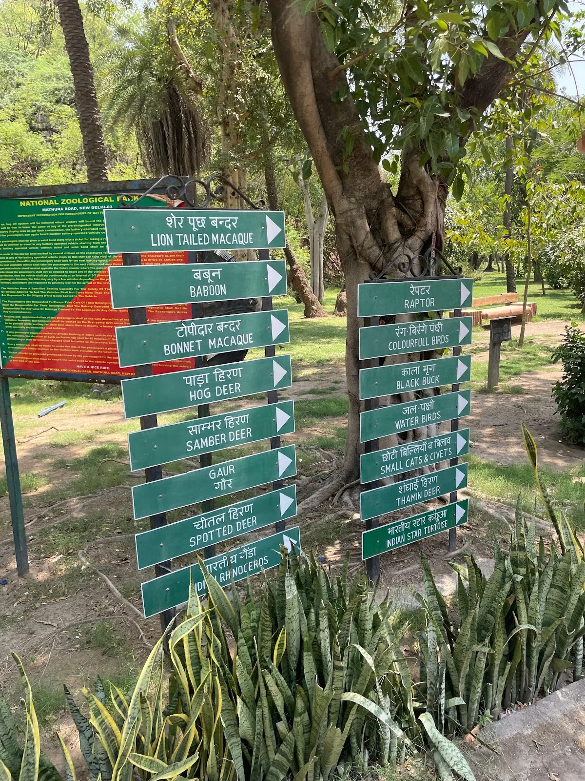 Chidiyaghar Delhi