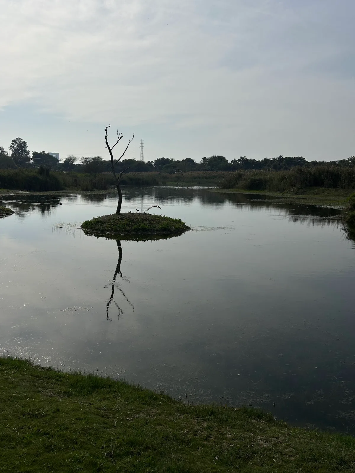 YAMUNA FLOOD PLAINS