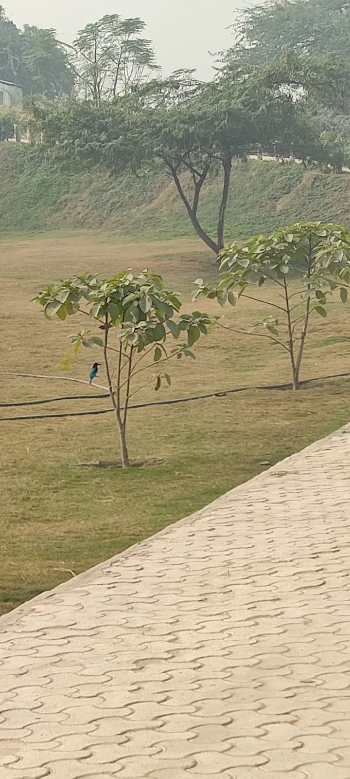 YAMUNA FLOOD PLAINS