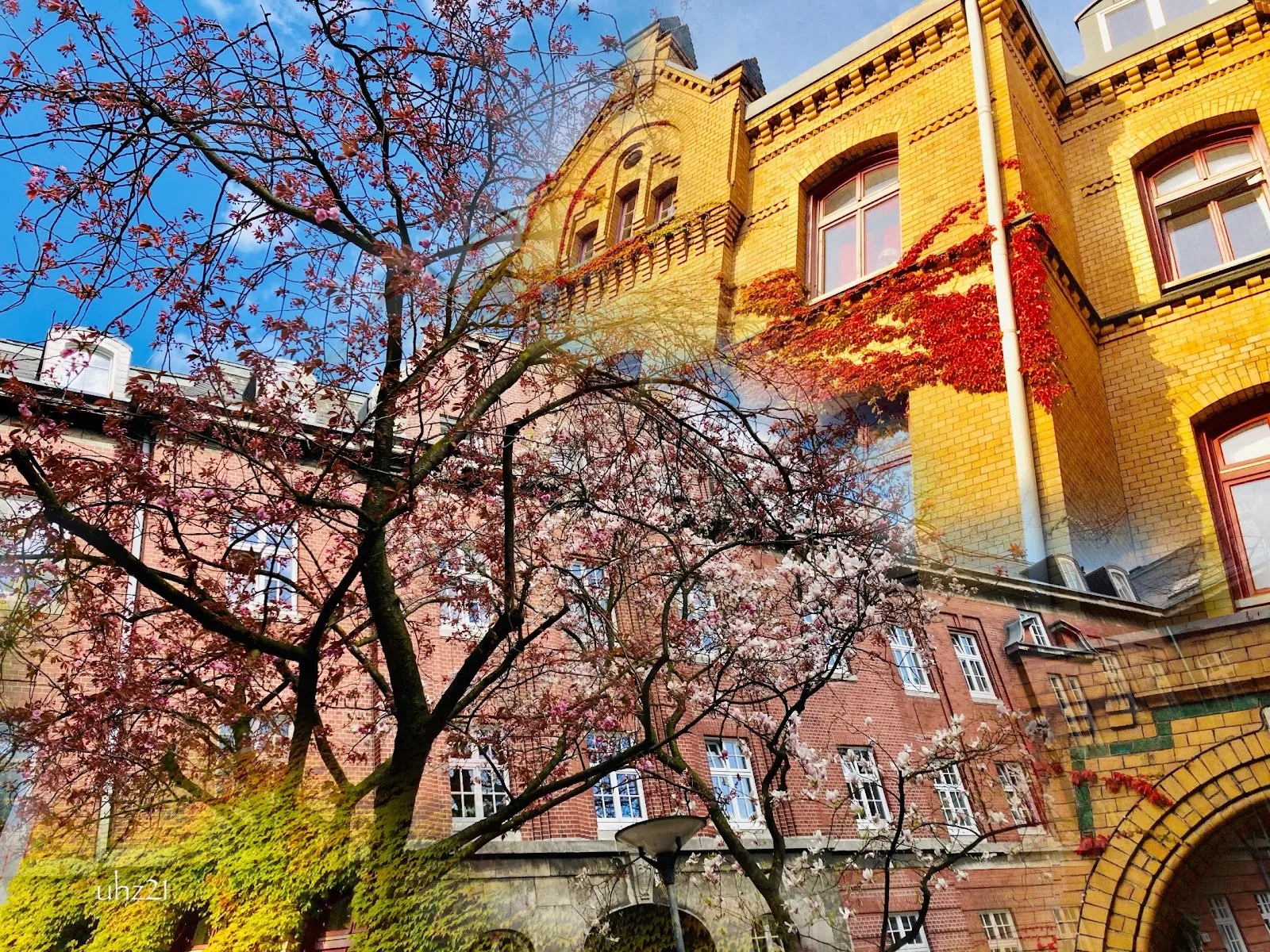Zindler-Haus der Heerlein- und Zindler-Stiftung