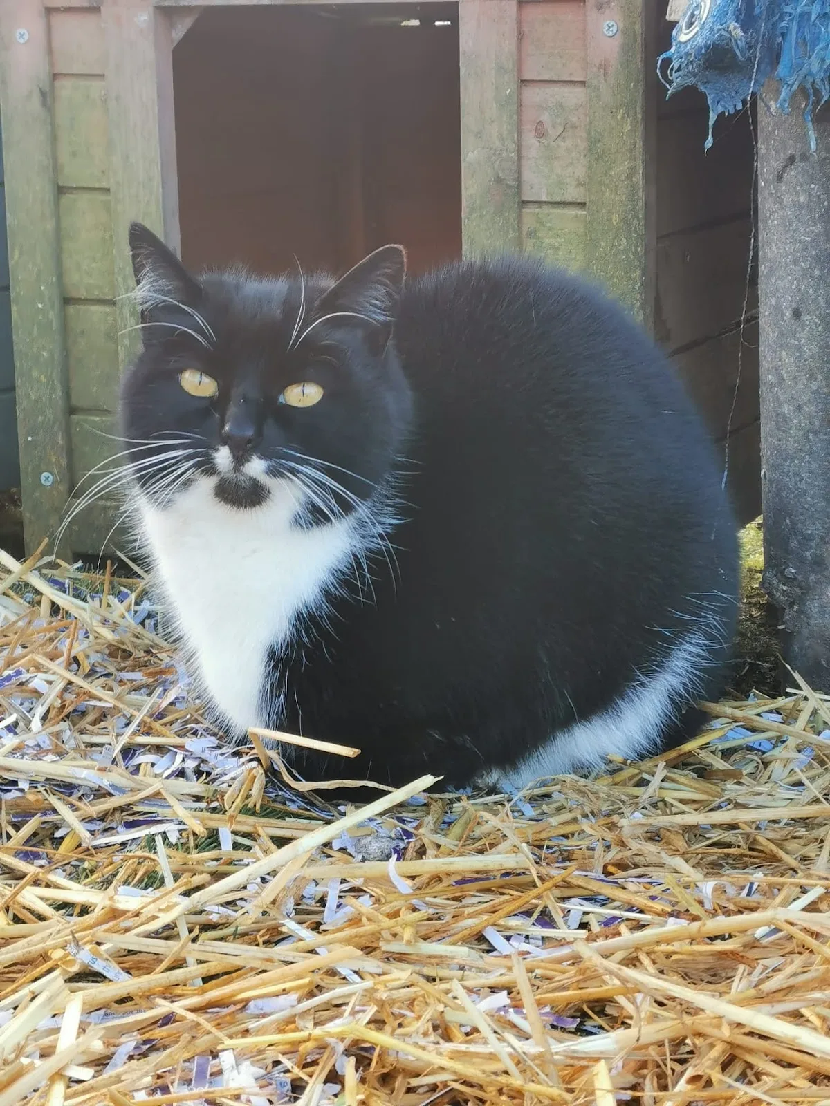 Happyfields Animal Sanctuary
