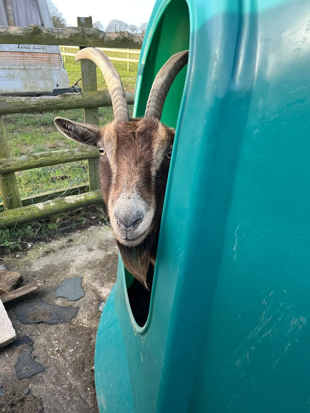 Happyfields Animal Sanctuary