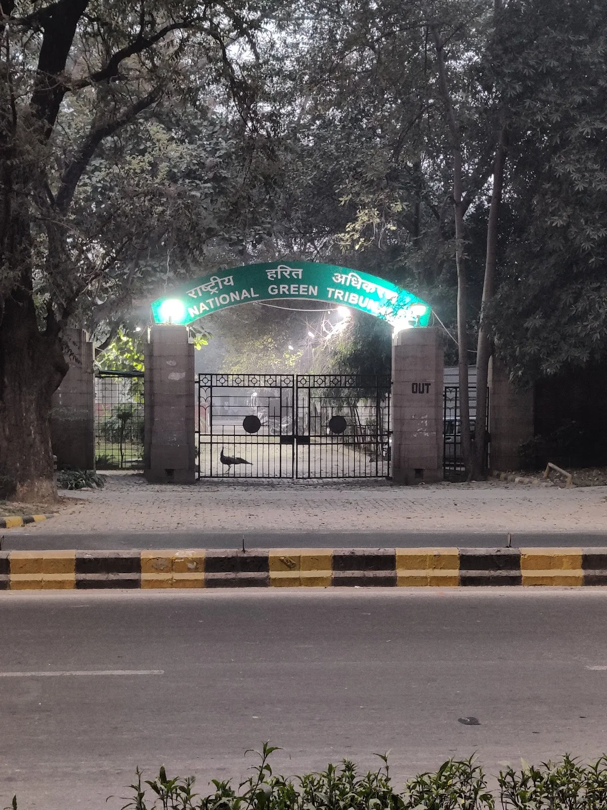 National Green Tribunal