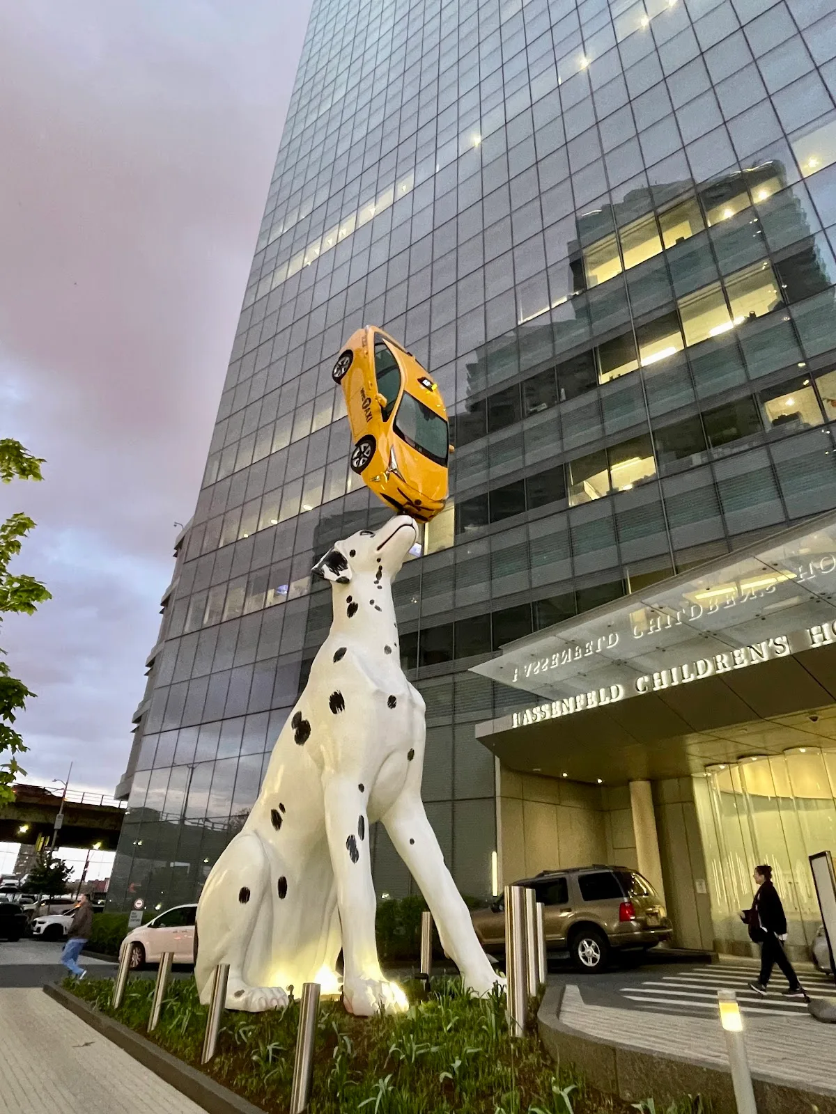 NYU Langone Health