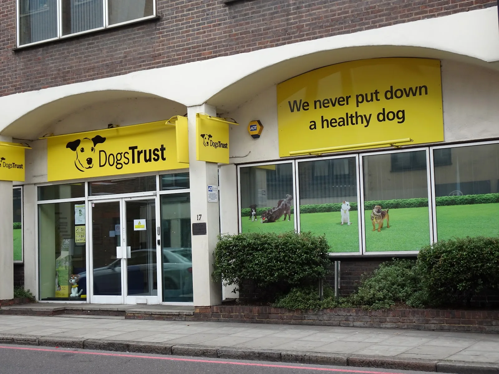 Dogs Trust