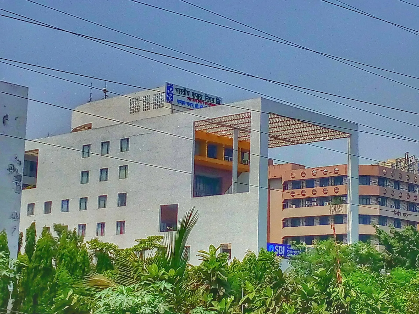 The Cotton Corporation of India Ltd.