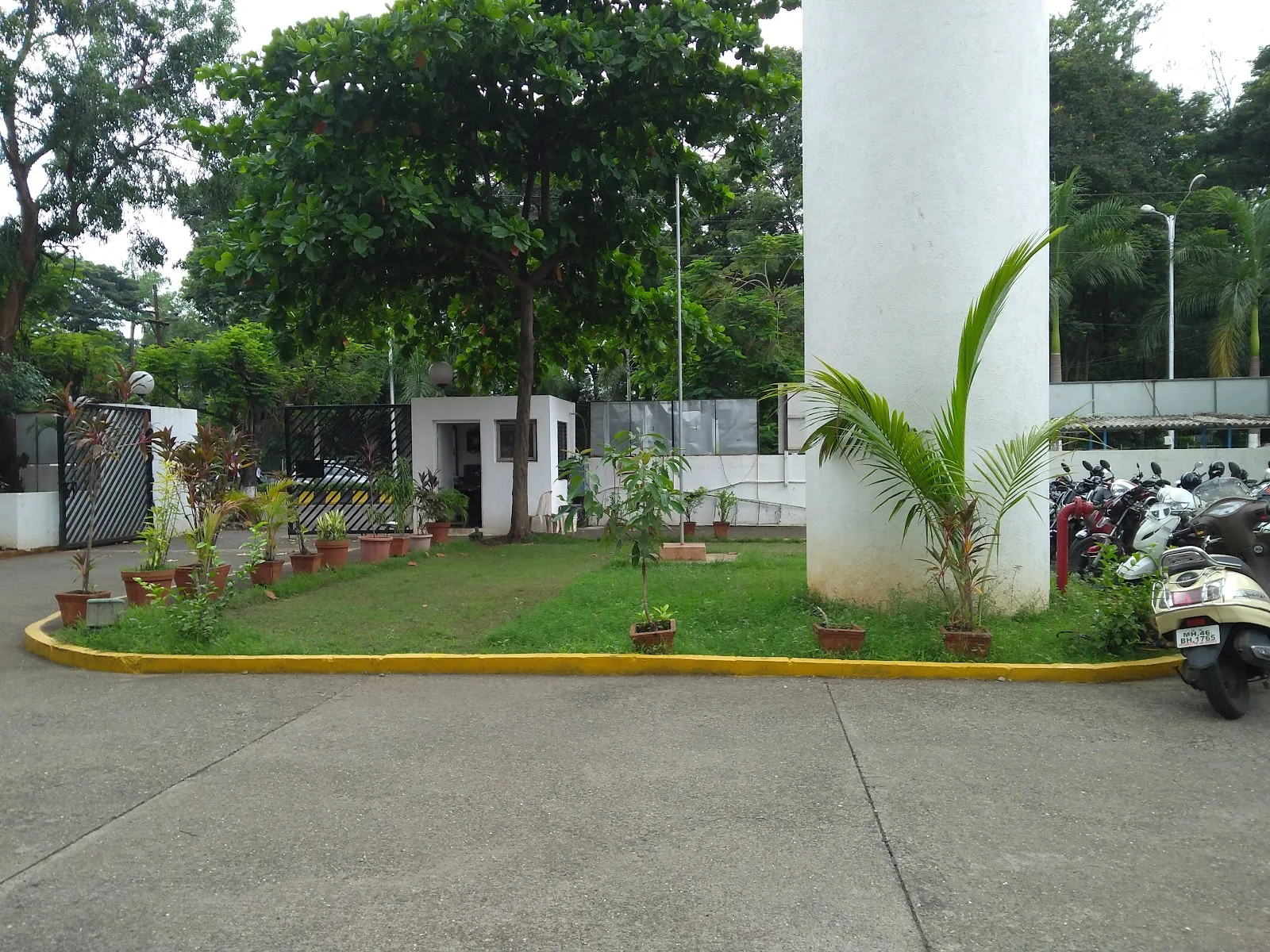 The Cotton Corporation of India Ltd.