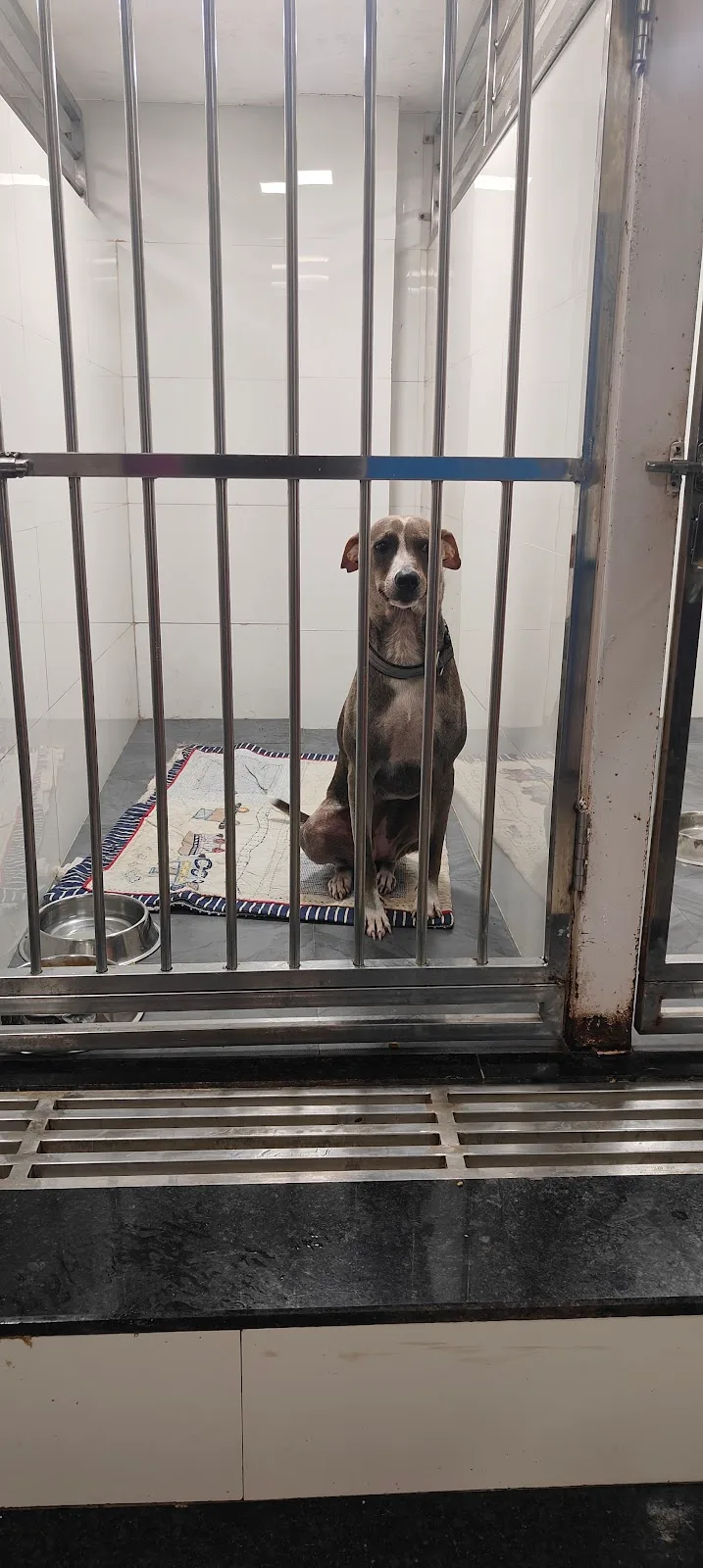 Raksha Animal Welfare Center