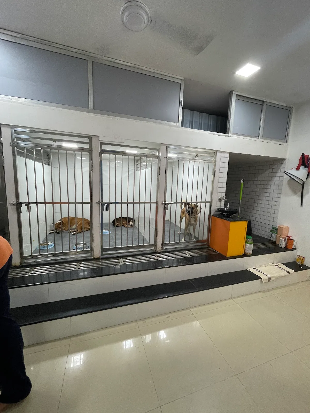 Raksha Animal Welfare Center