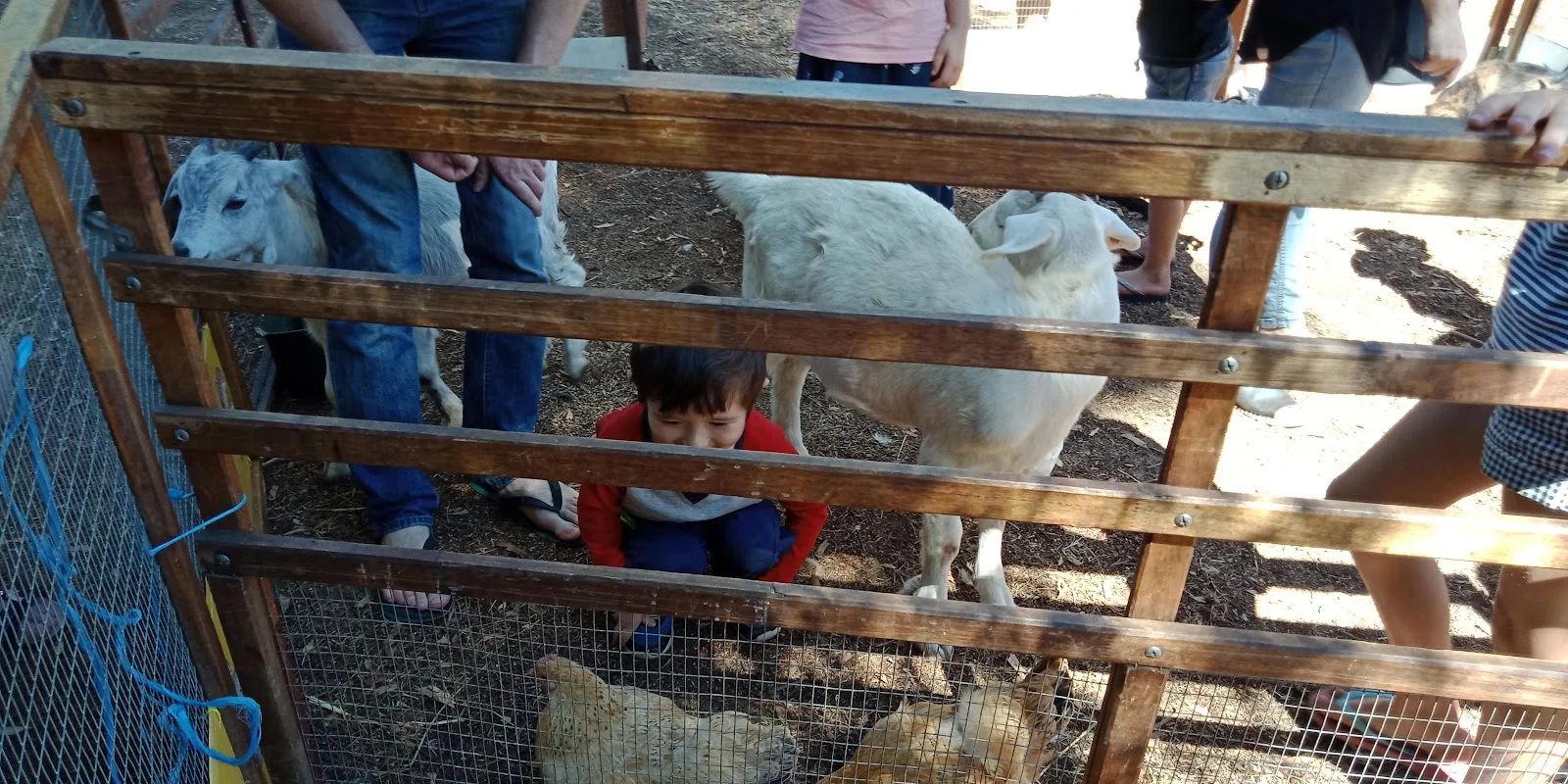 Parkerville Children and Youth Care