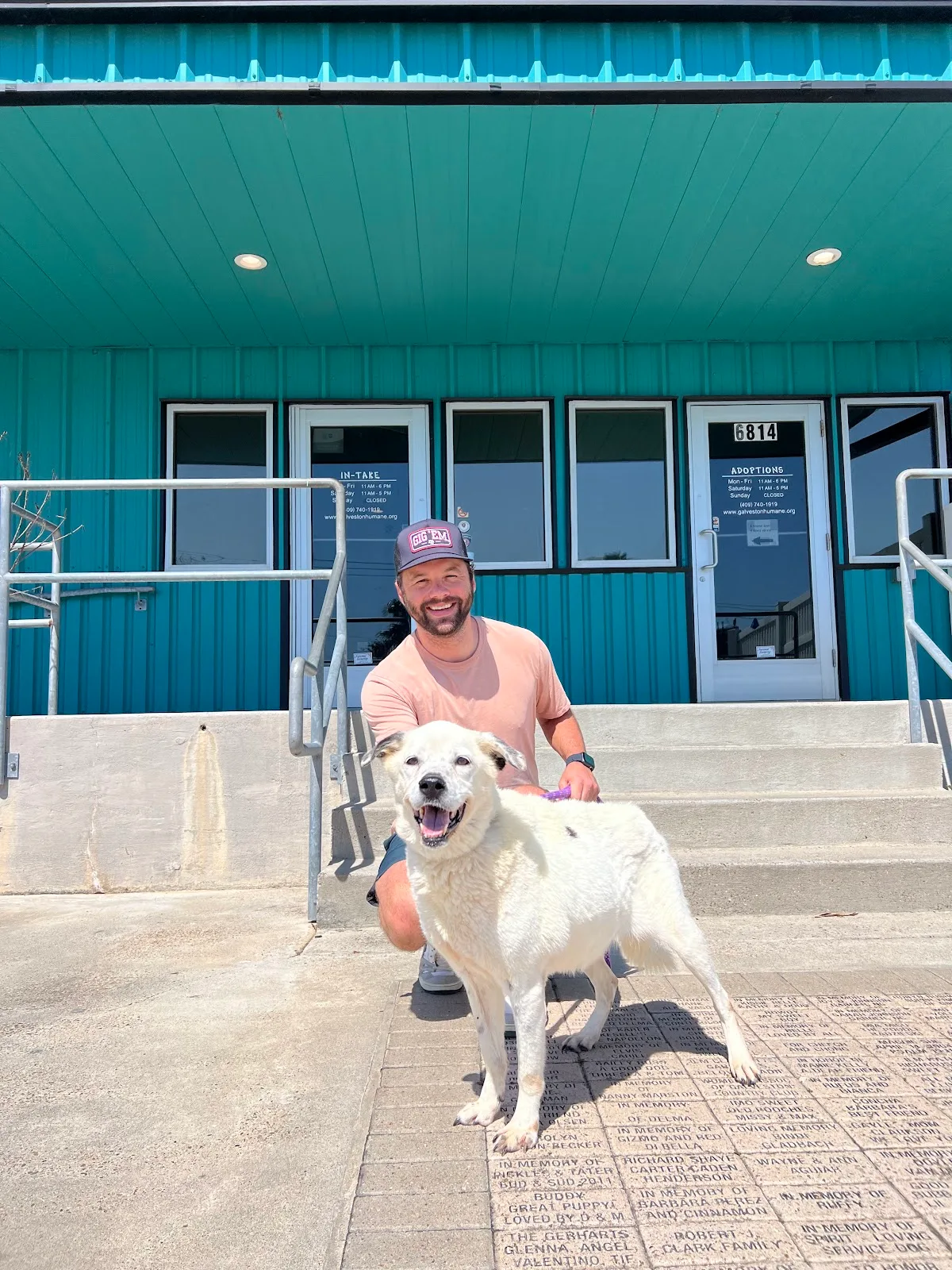 Galveston Island Humane Society