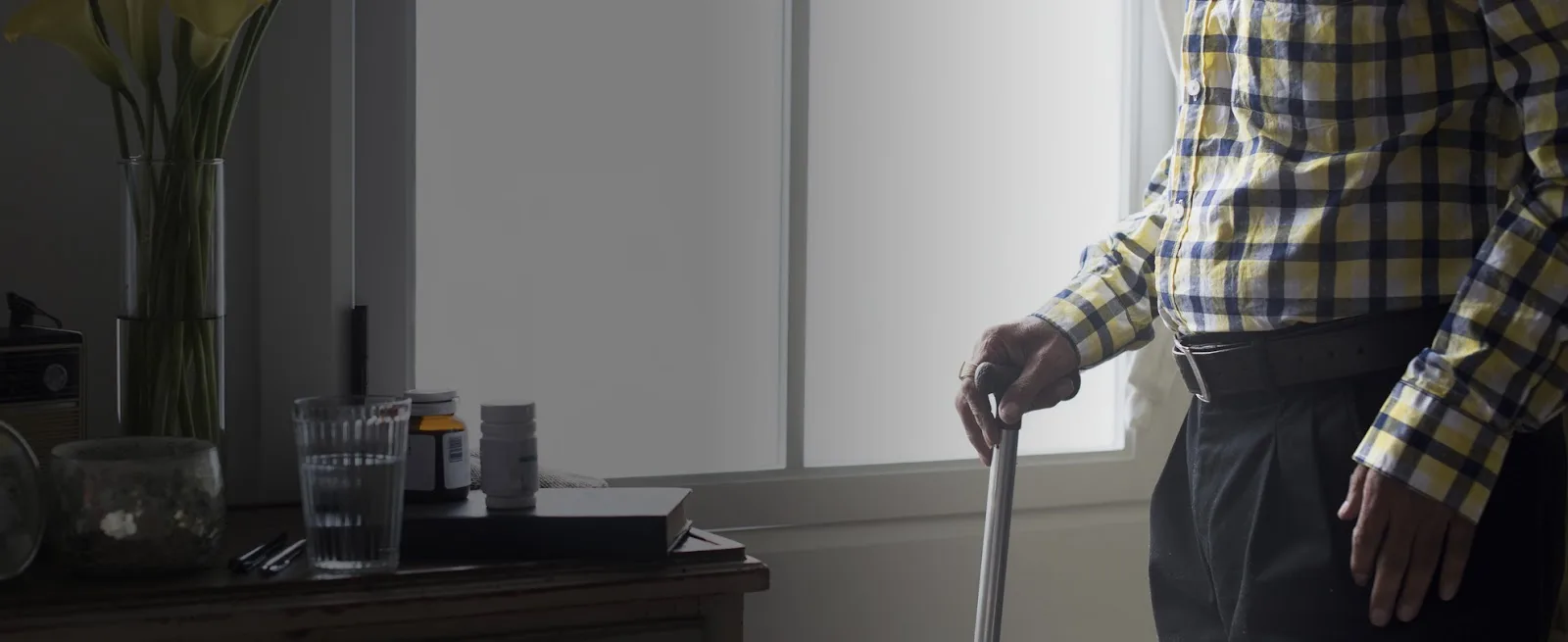 Loyal Aide Homecare