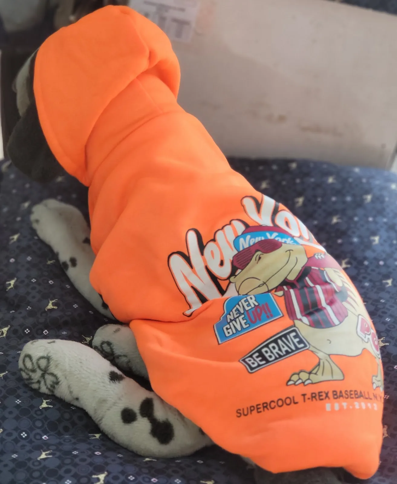 Attractions Petshop