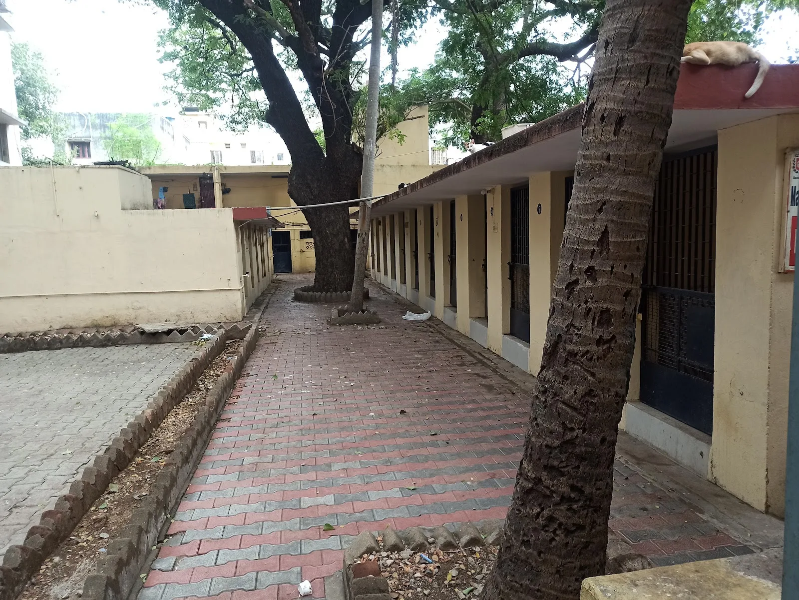 Society For The Prevention Of Cruelty To Animals