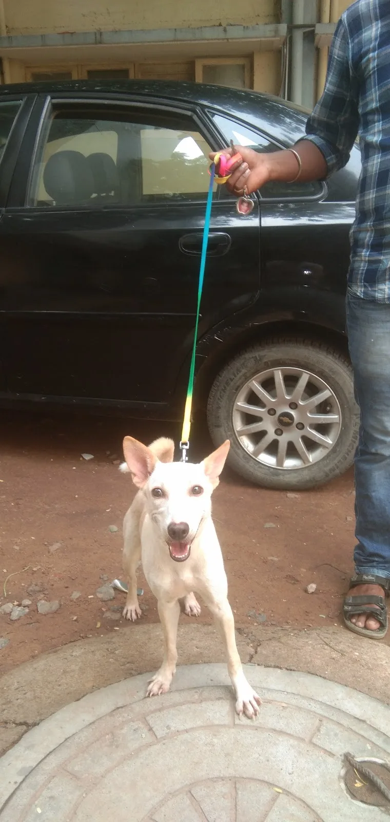Society For The Prevention Of Cruelty To Animals