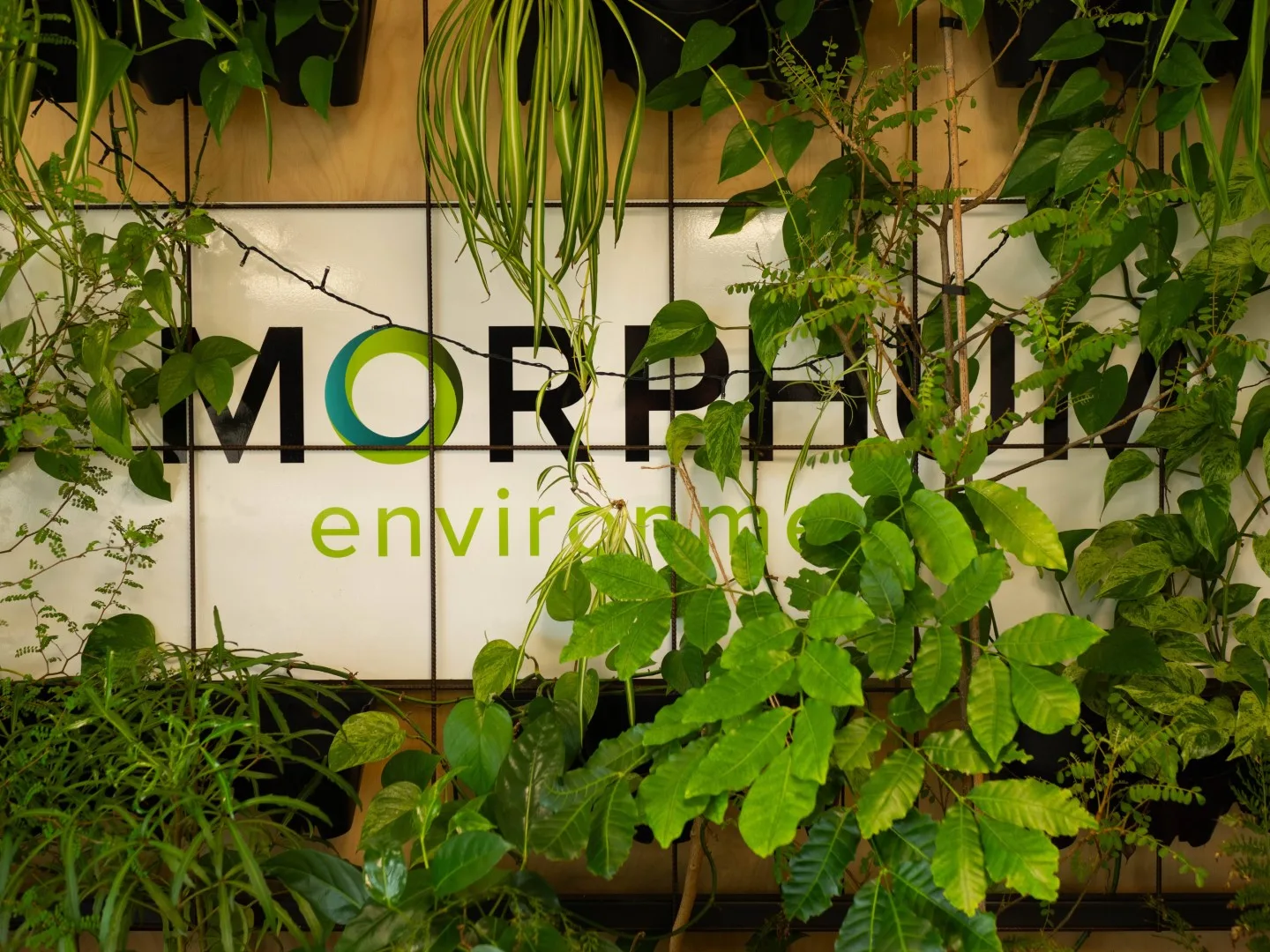 Morphum Environmental