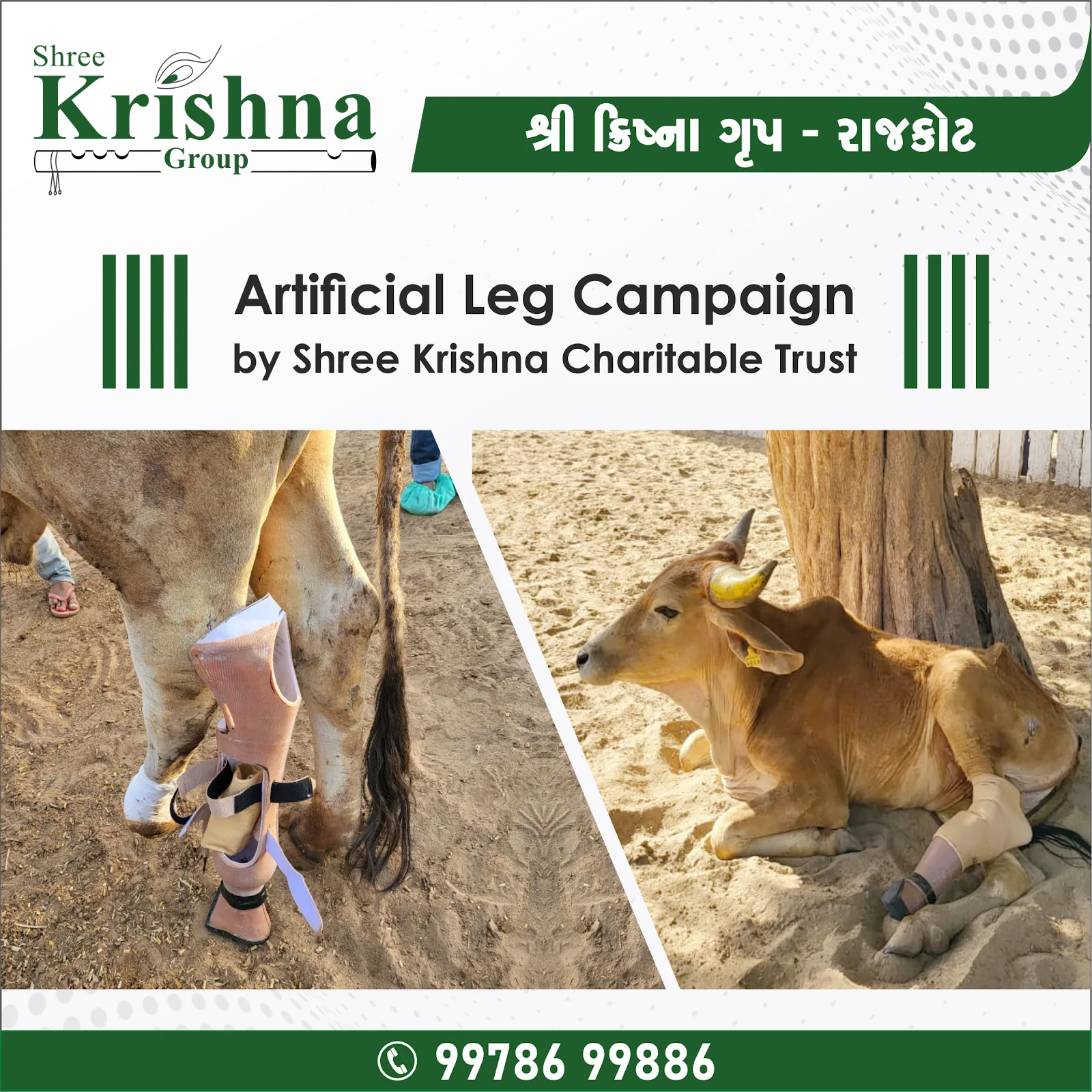 Shree Krishna Charitable Trust - Rajkot