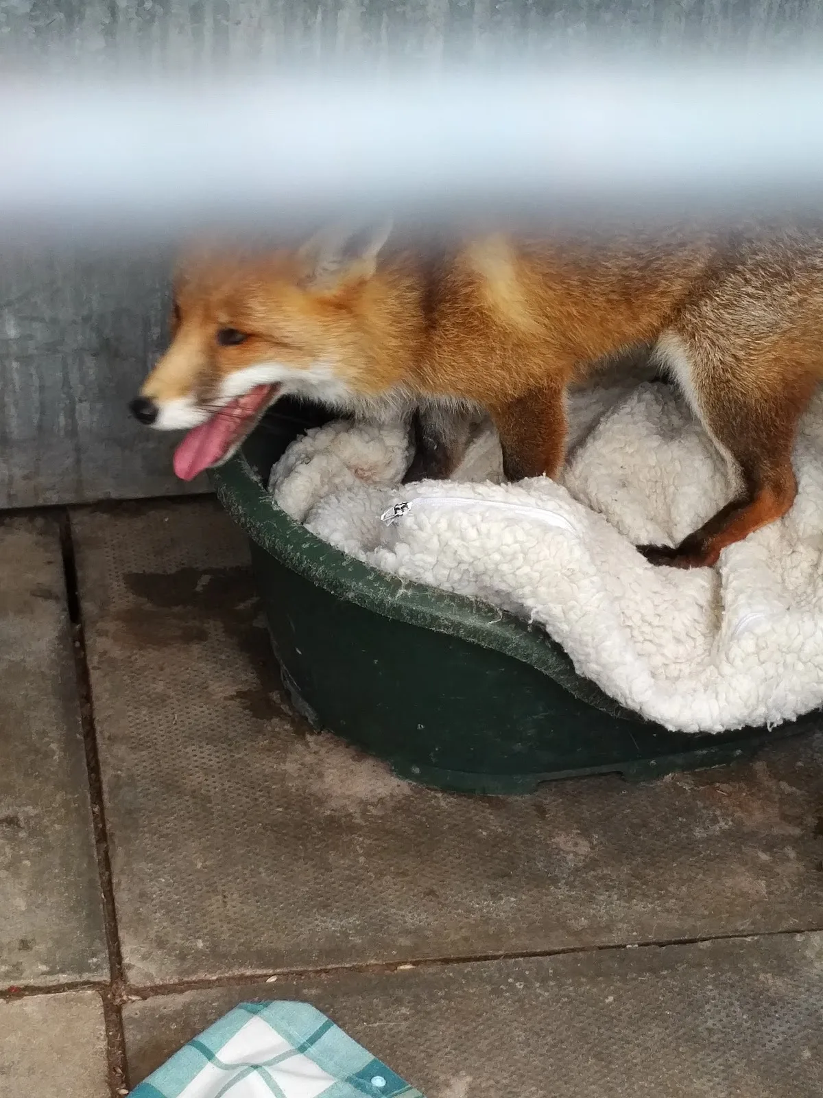 Warwickshire Wildlife Sanctuary