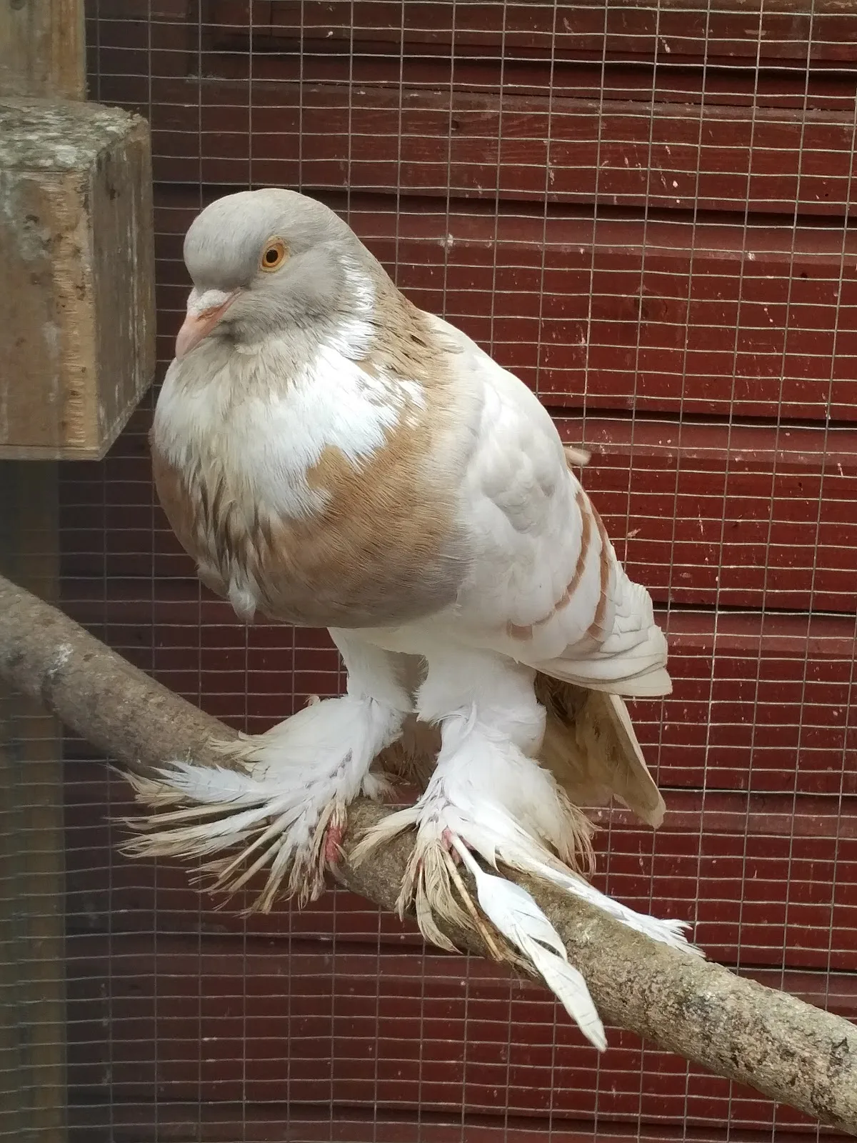 Warwickshire Wildlife Sanctuary
