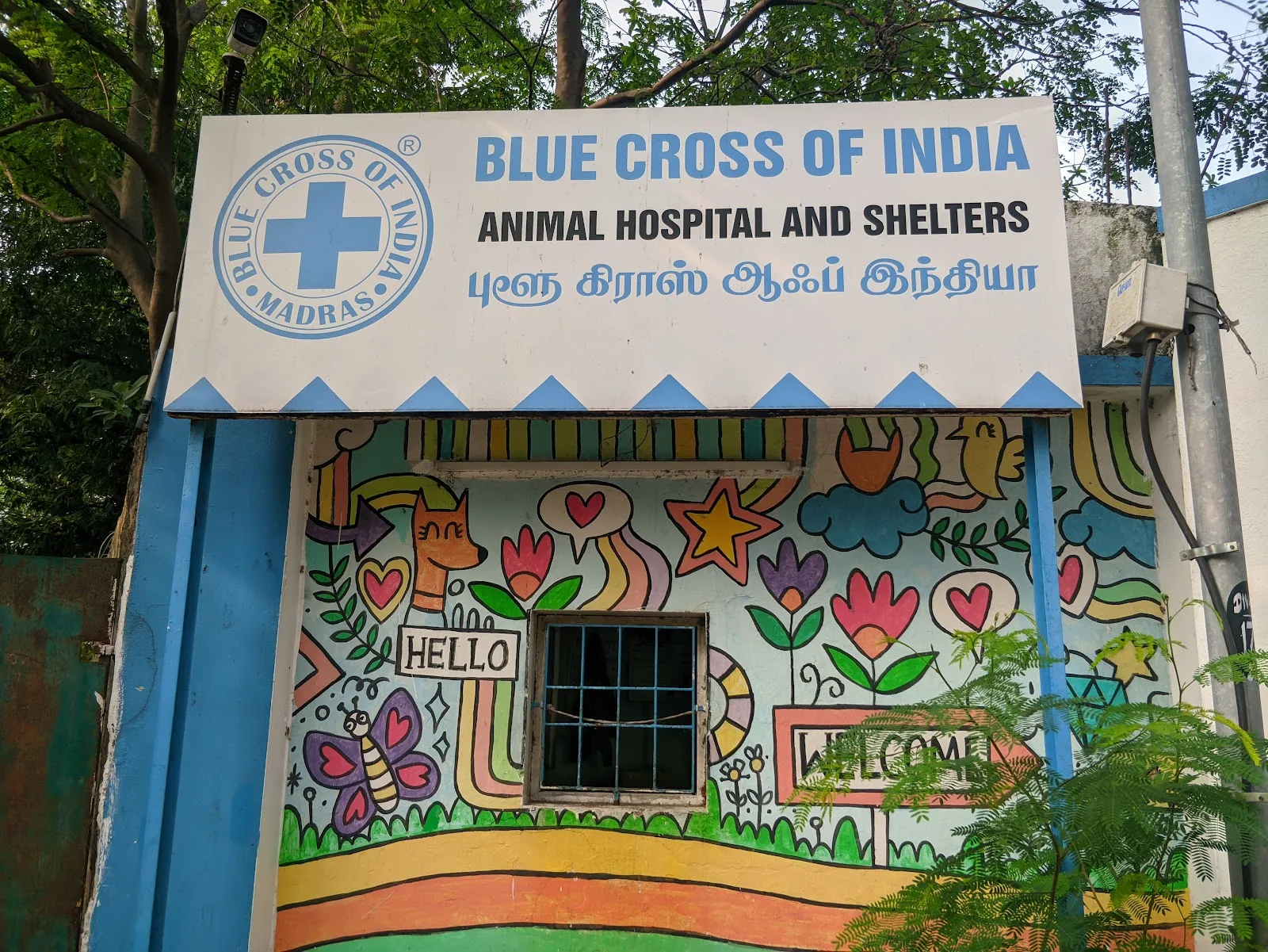 Blue Cross of India