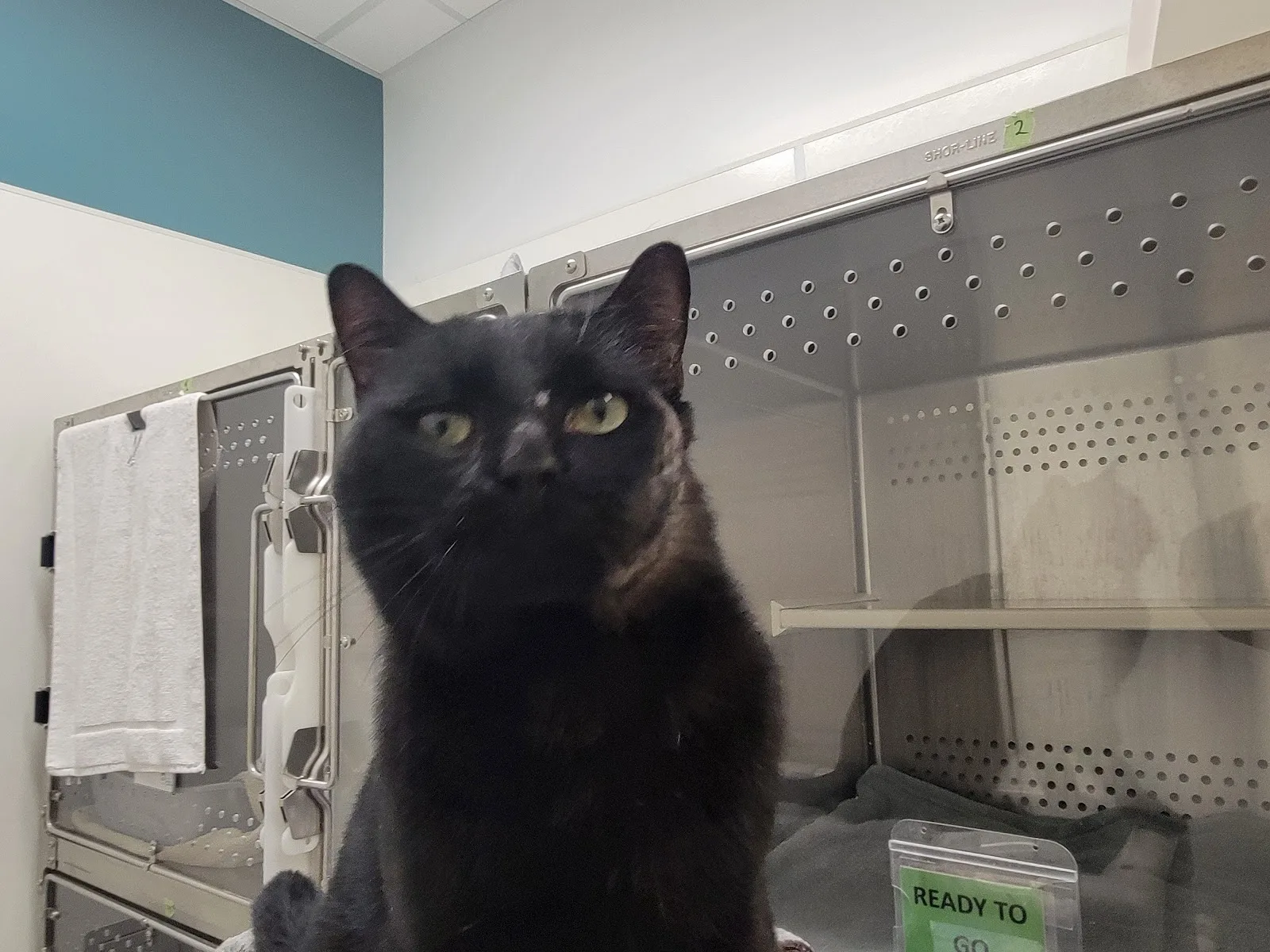 Surrey Animal Resource Centre