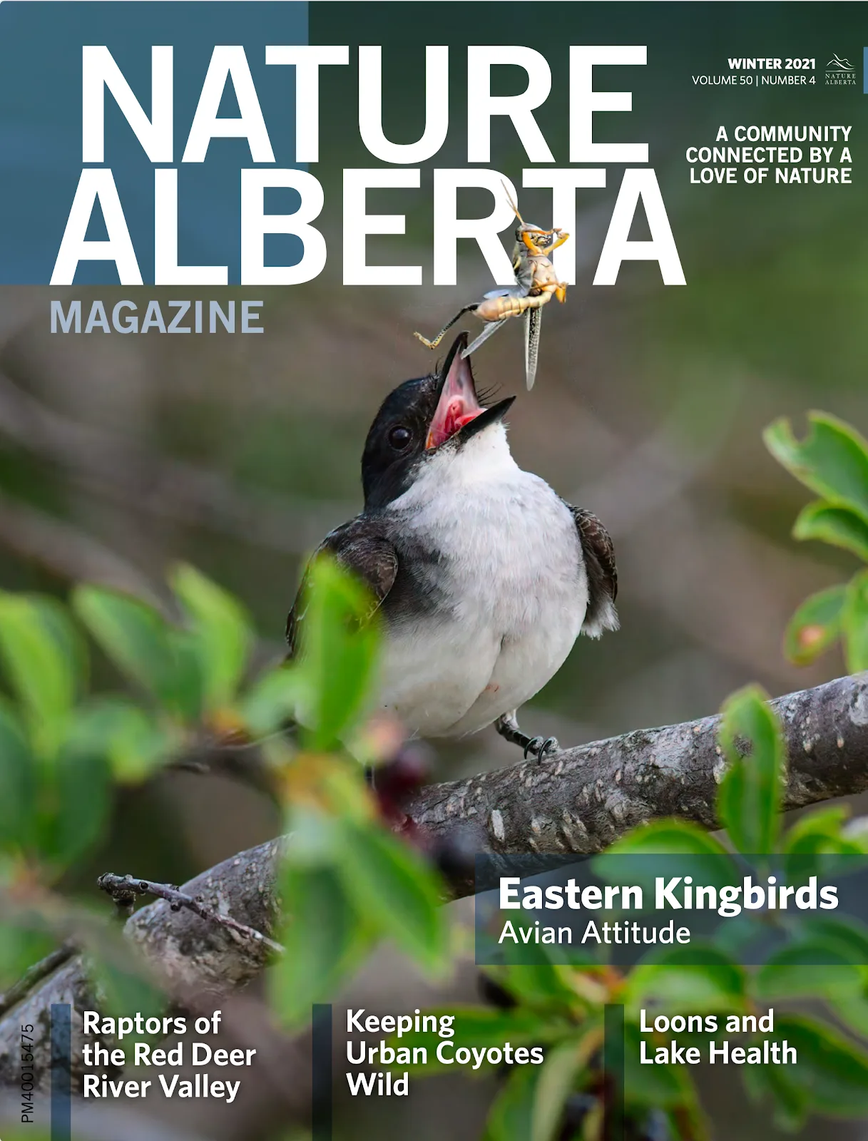 Nature Alberta