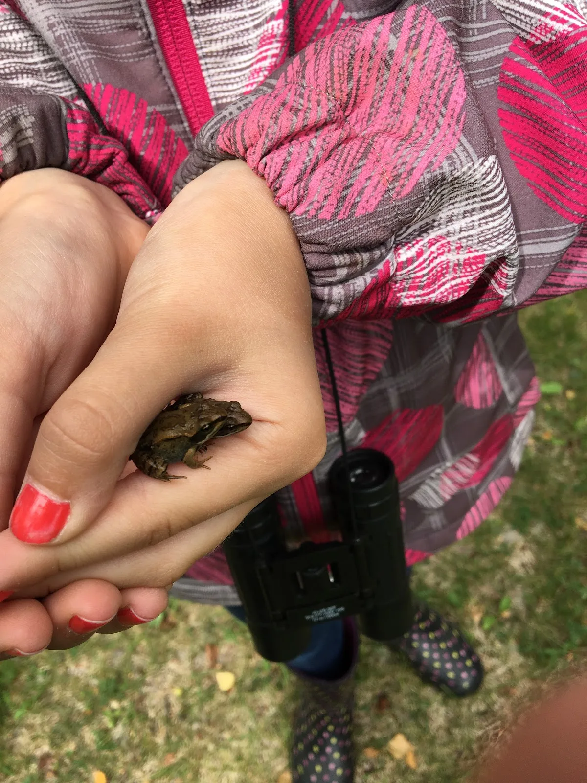 Nature Alberta