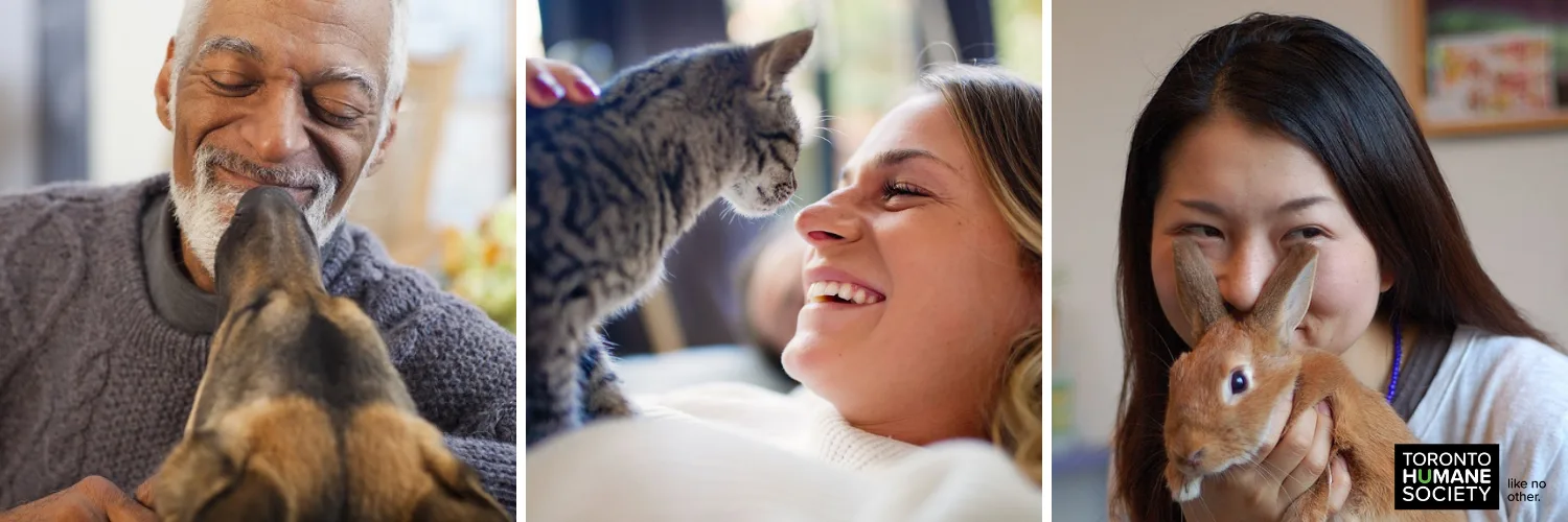 Toronto Humane Society