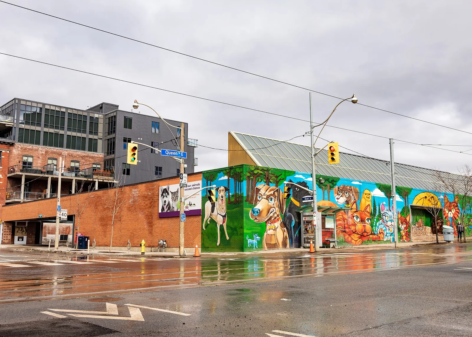 Toronto Humane Society
