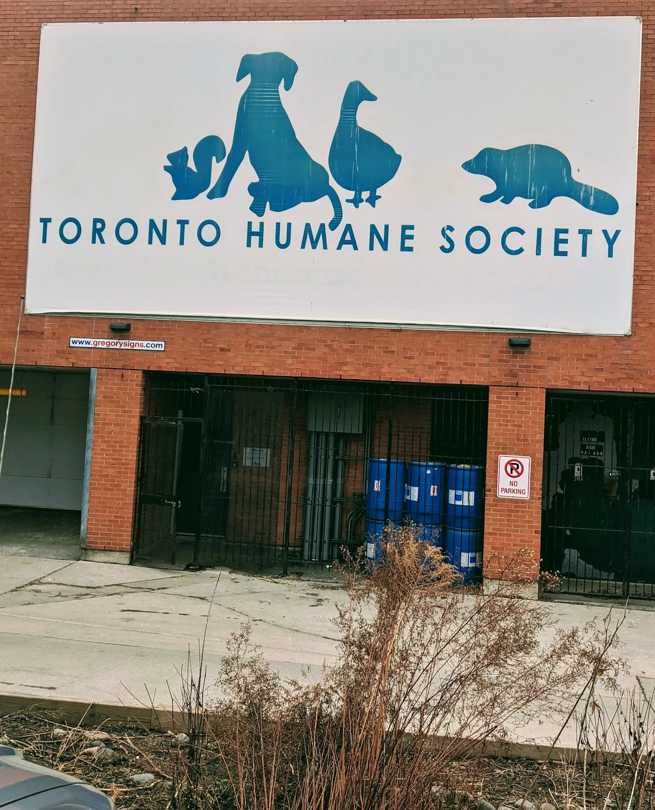 Toronto Humane Society
