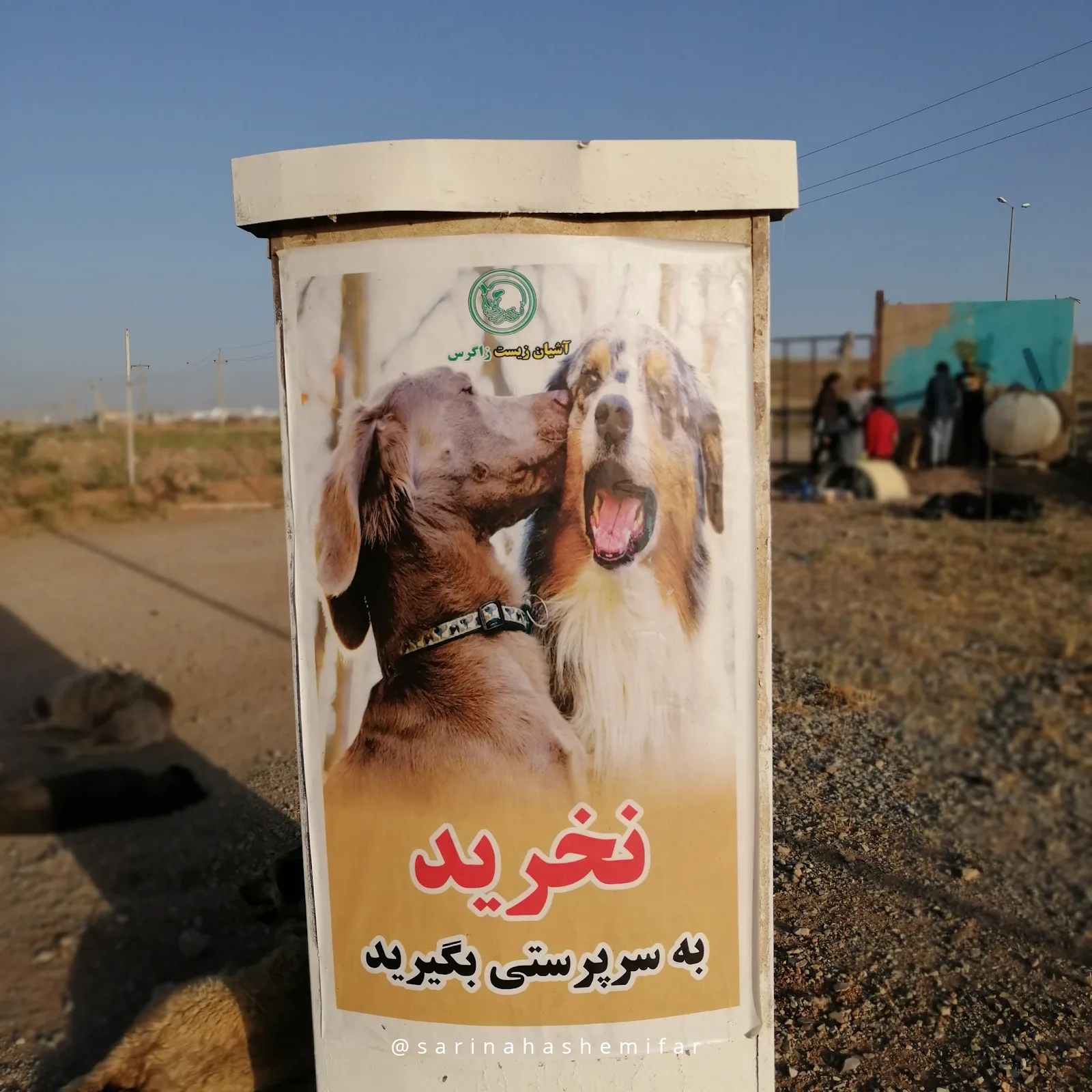 Asian-i-Zagros Shelter